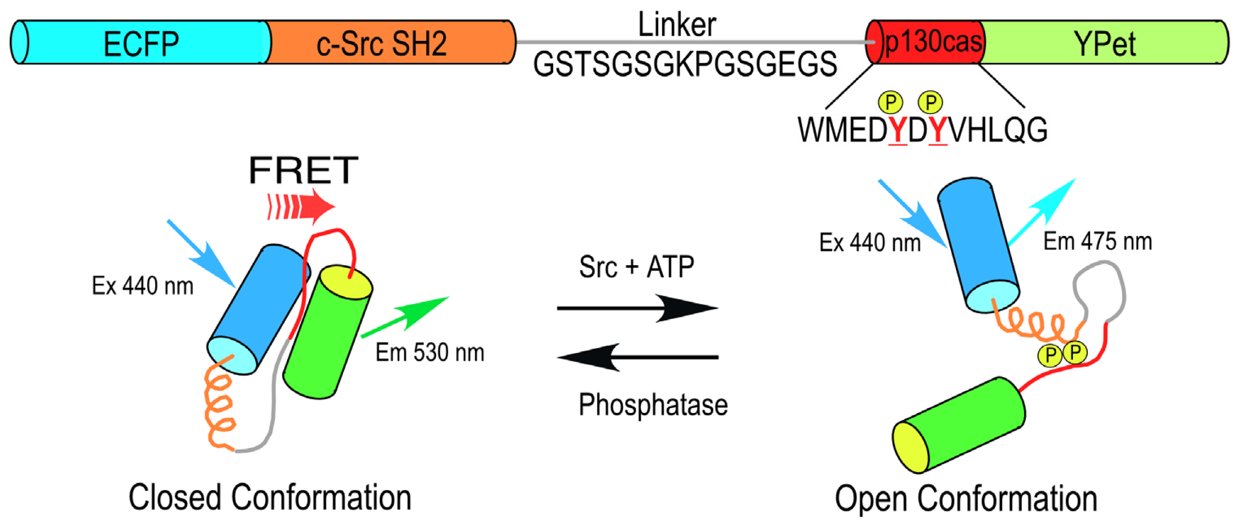 Ijms 13 14385f1 1024