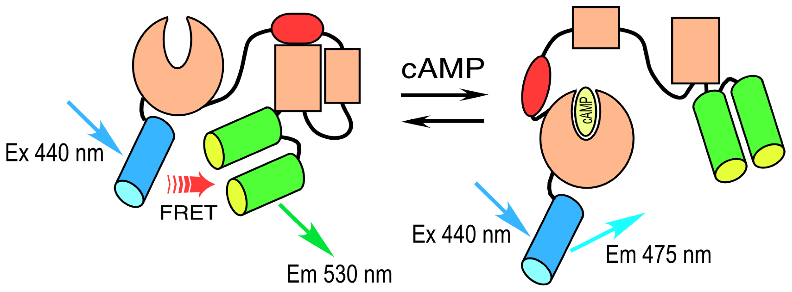 Ijms 13 14385f2 1024