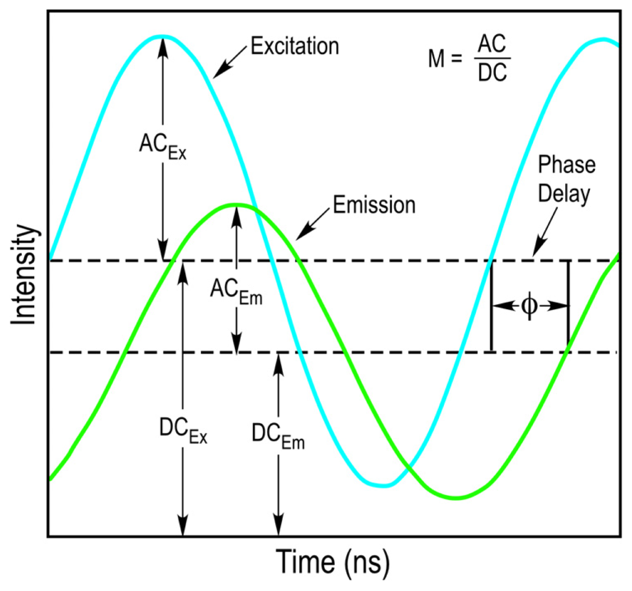 Ijms 13 14385f3 1024