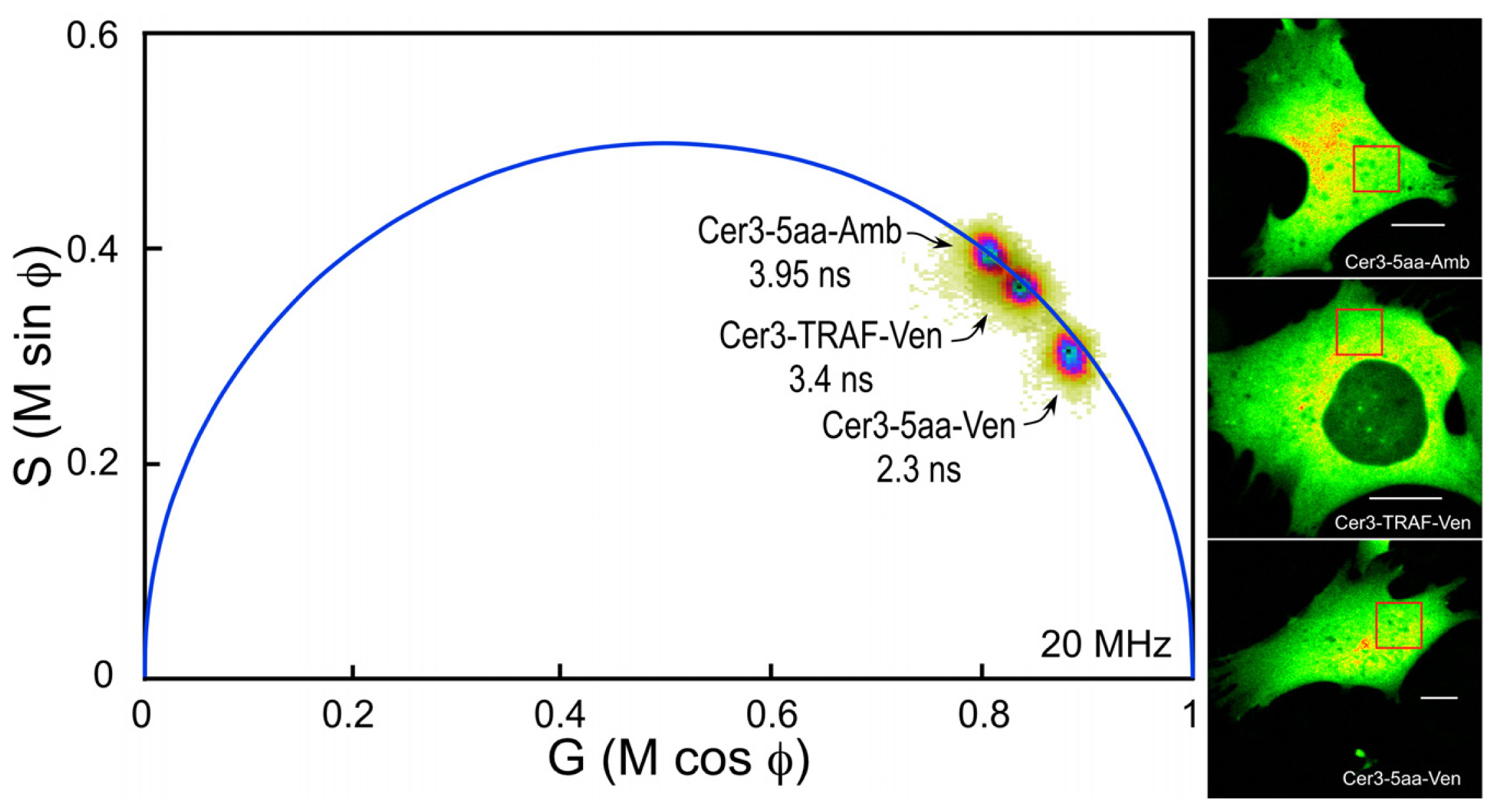 Ijms 13 14385f5 1024