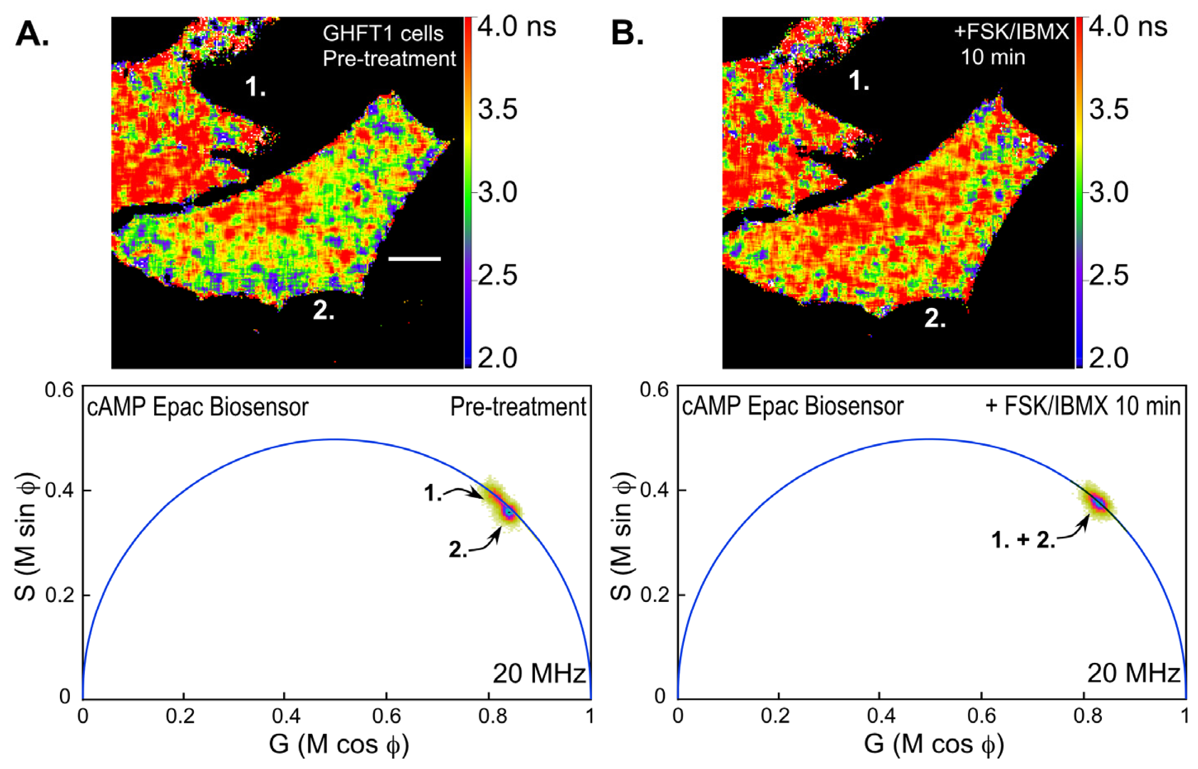 Ijms 13 14385f7 1024