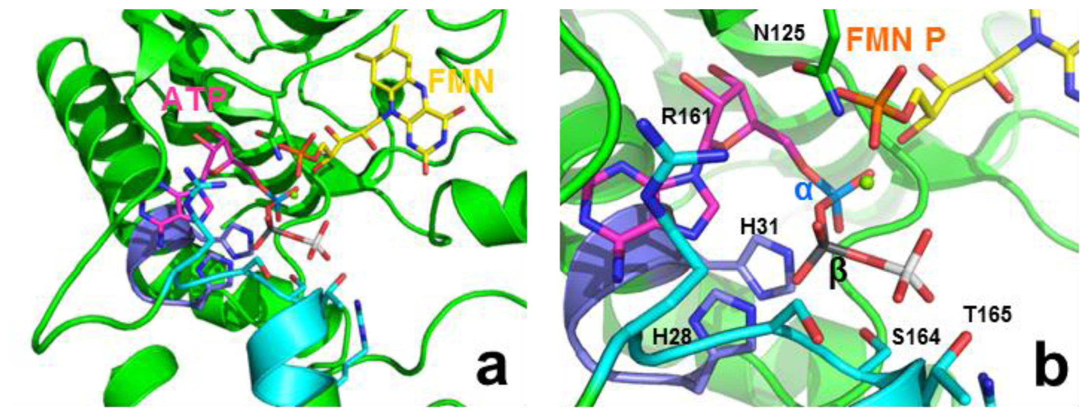 Ijms 13 14492f5 1024