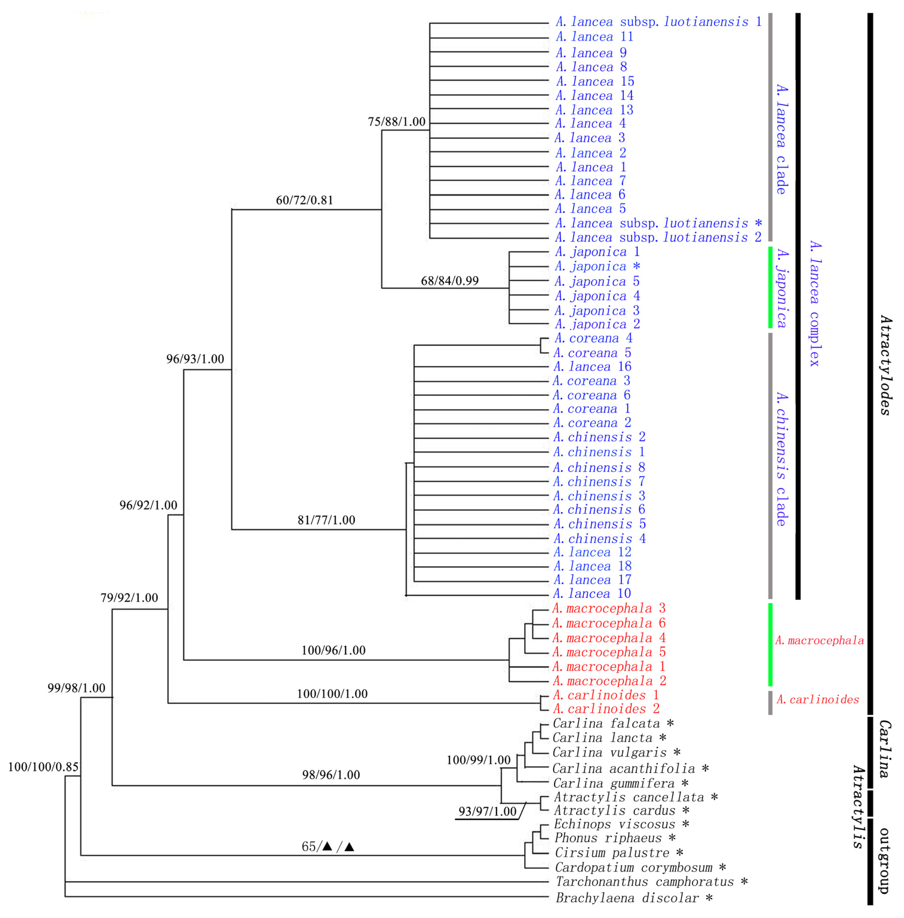 Ijms 13 14623f1 1024