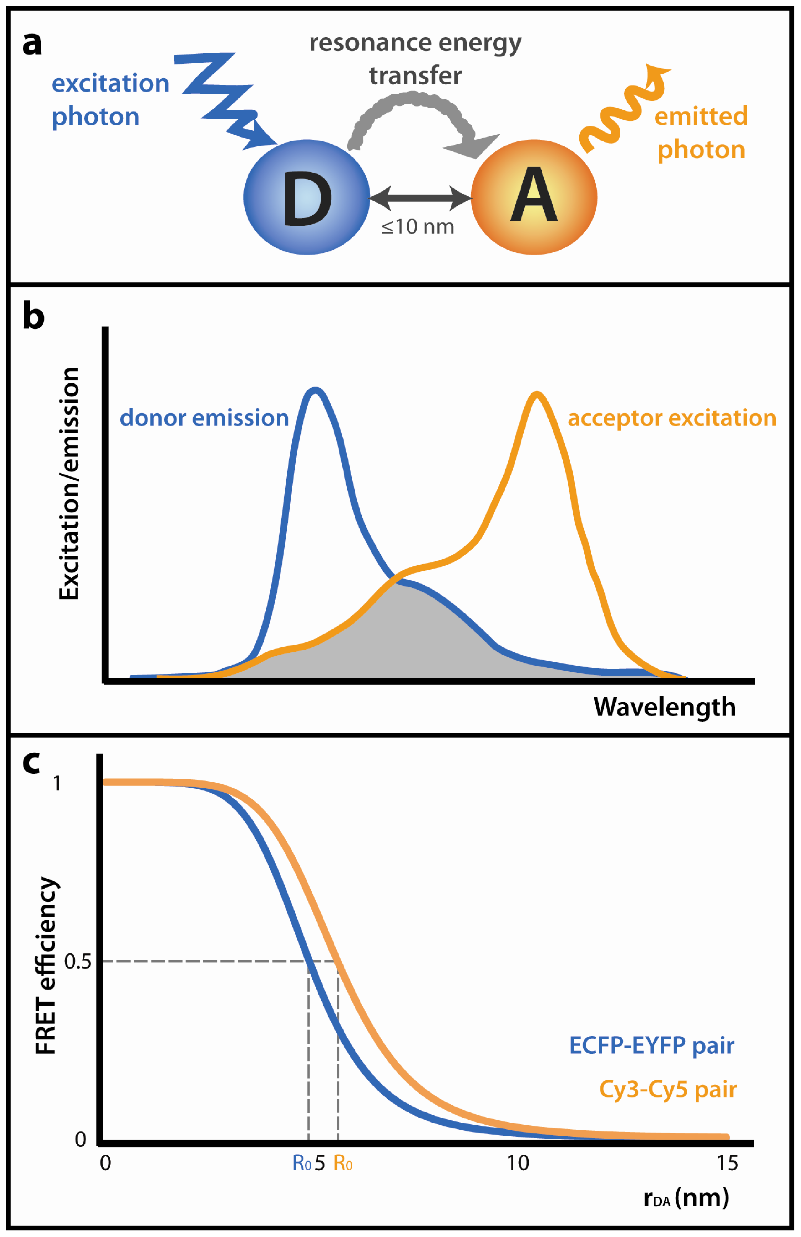 Ijms 13 14929f1 1024