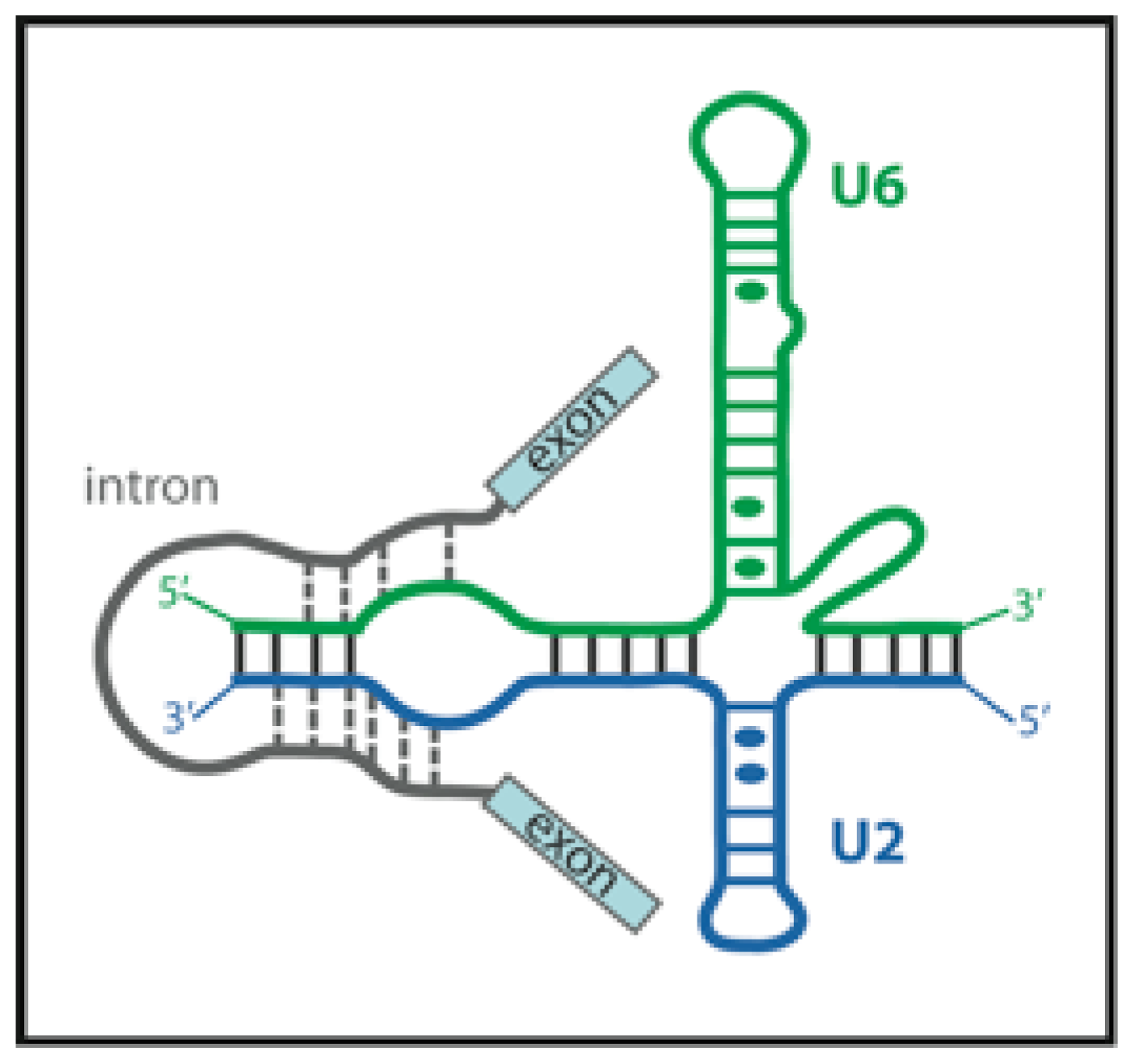 Ijms 13 14929f7 1024
