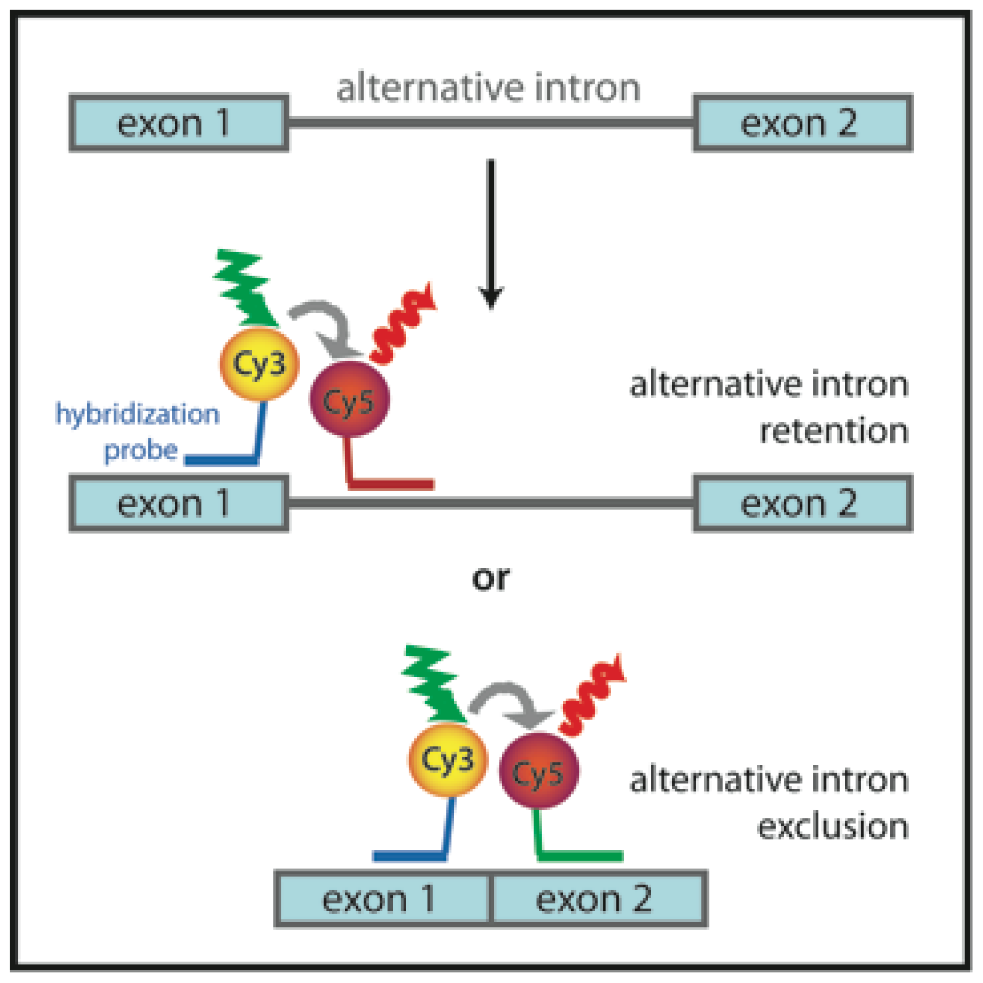 Ijms 13 14929f8 1024