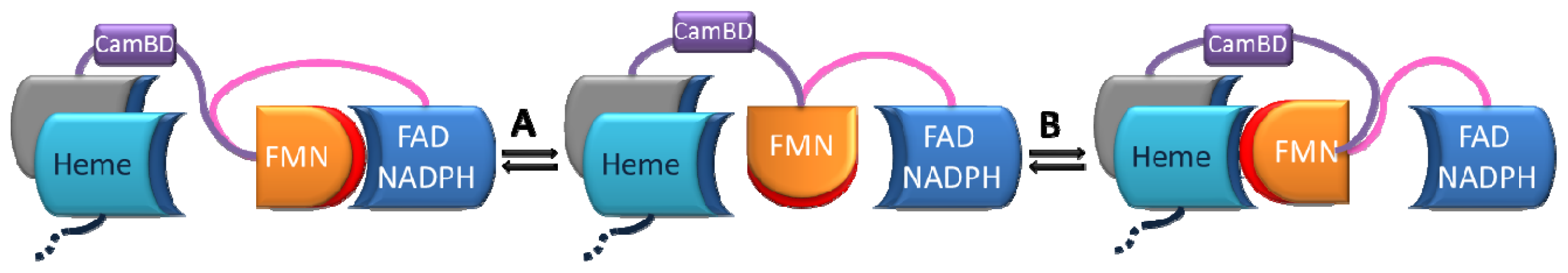 Ijms 13 15012f4 1024