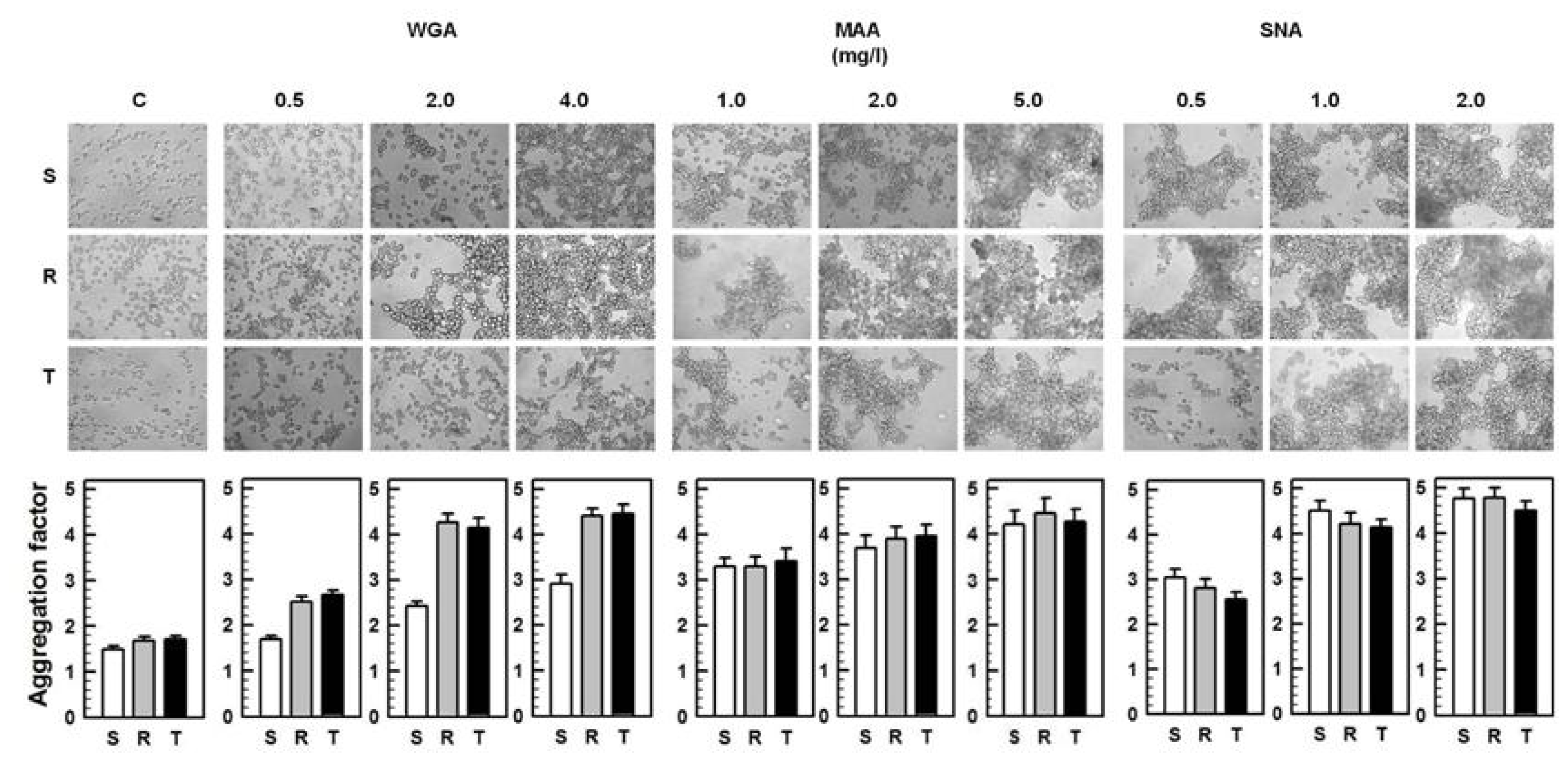 Ijms 13 15177f2 1024