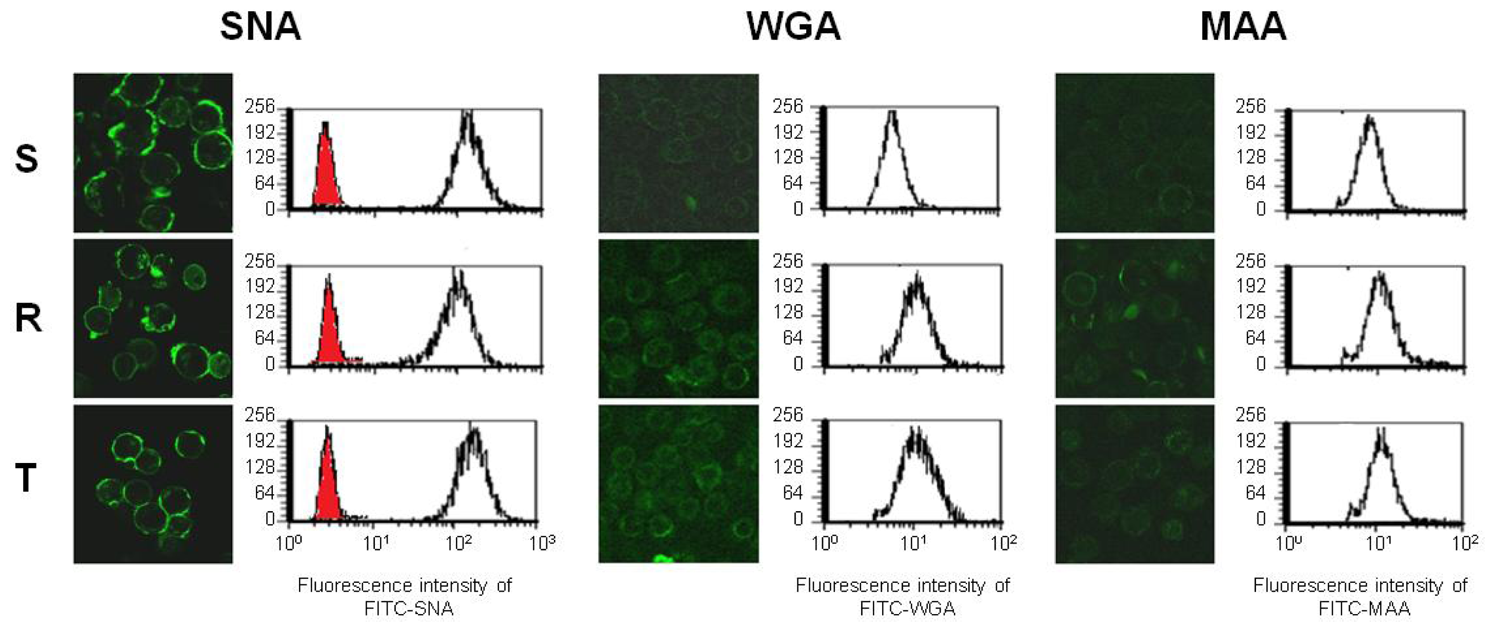 Ijms 13 15177f4 1024