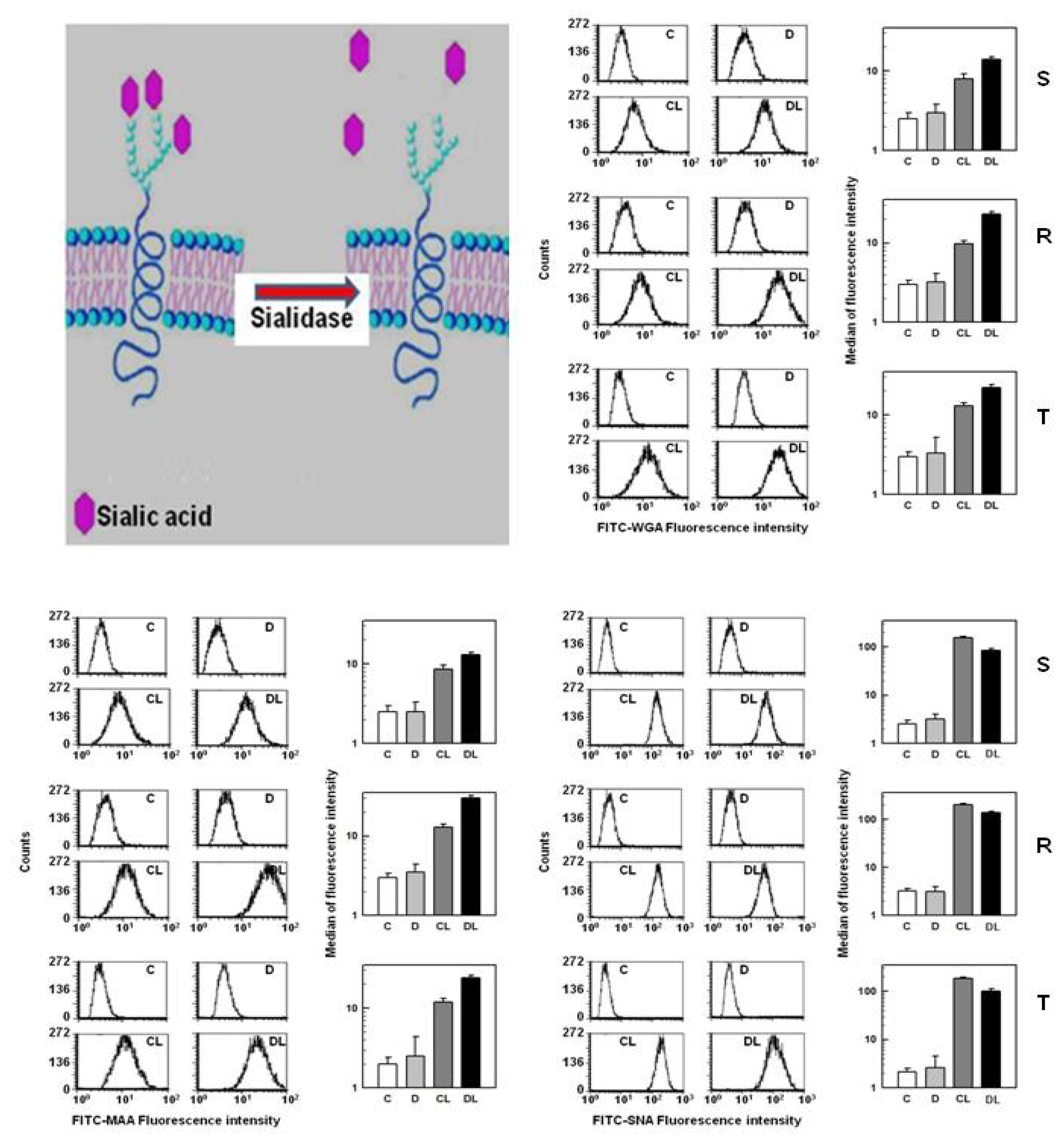 Ijms 13 15177f6 1024