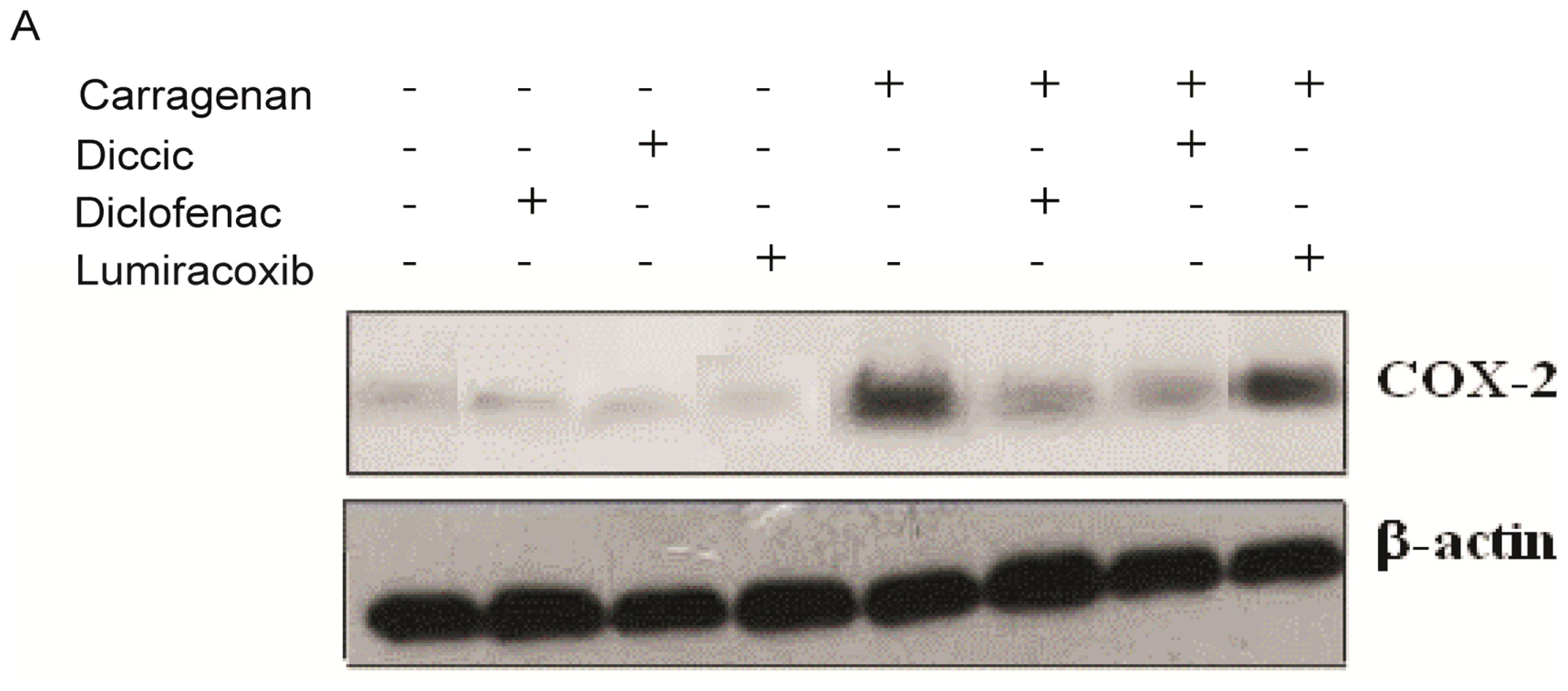 Ijms 13 15305f4a