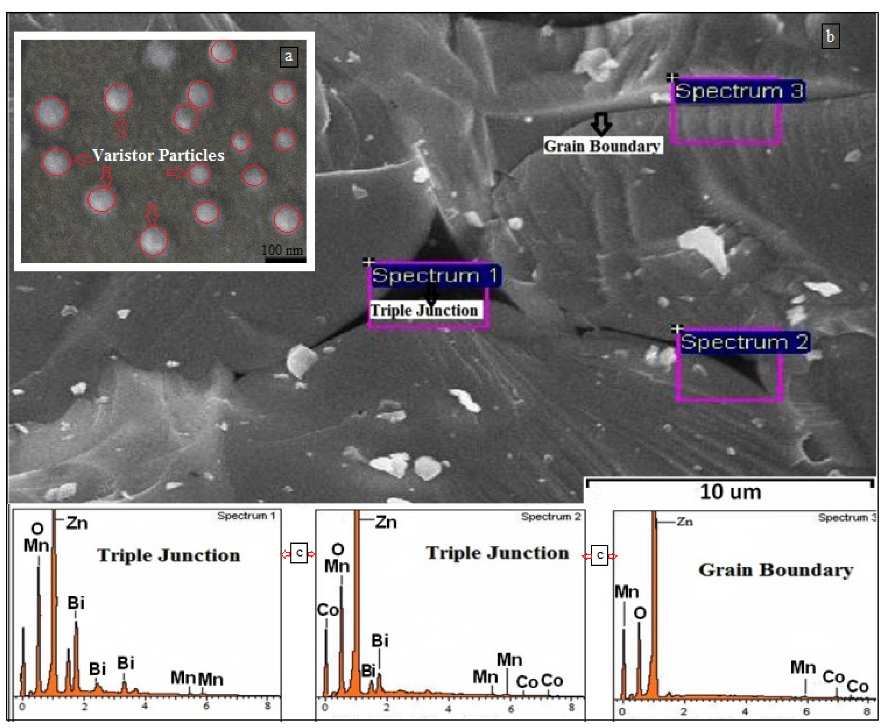 Ijms 13 15640f3 1024