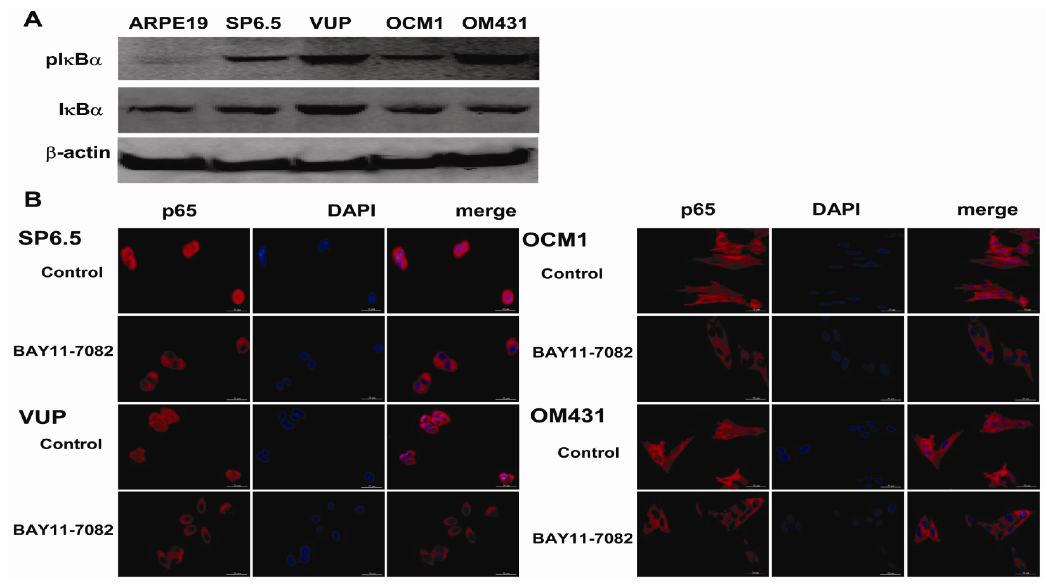 Ijms 13 15653f1 1024