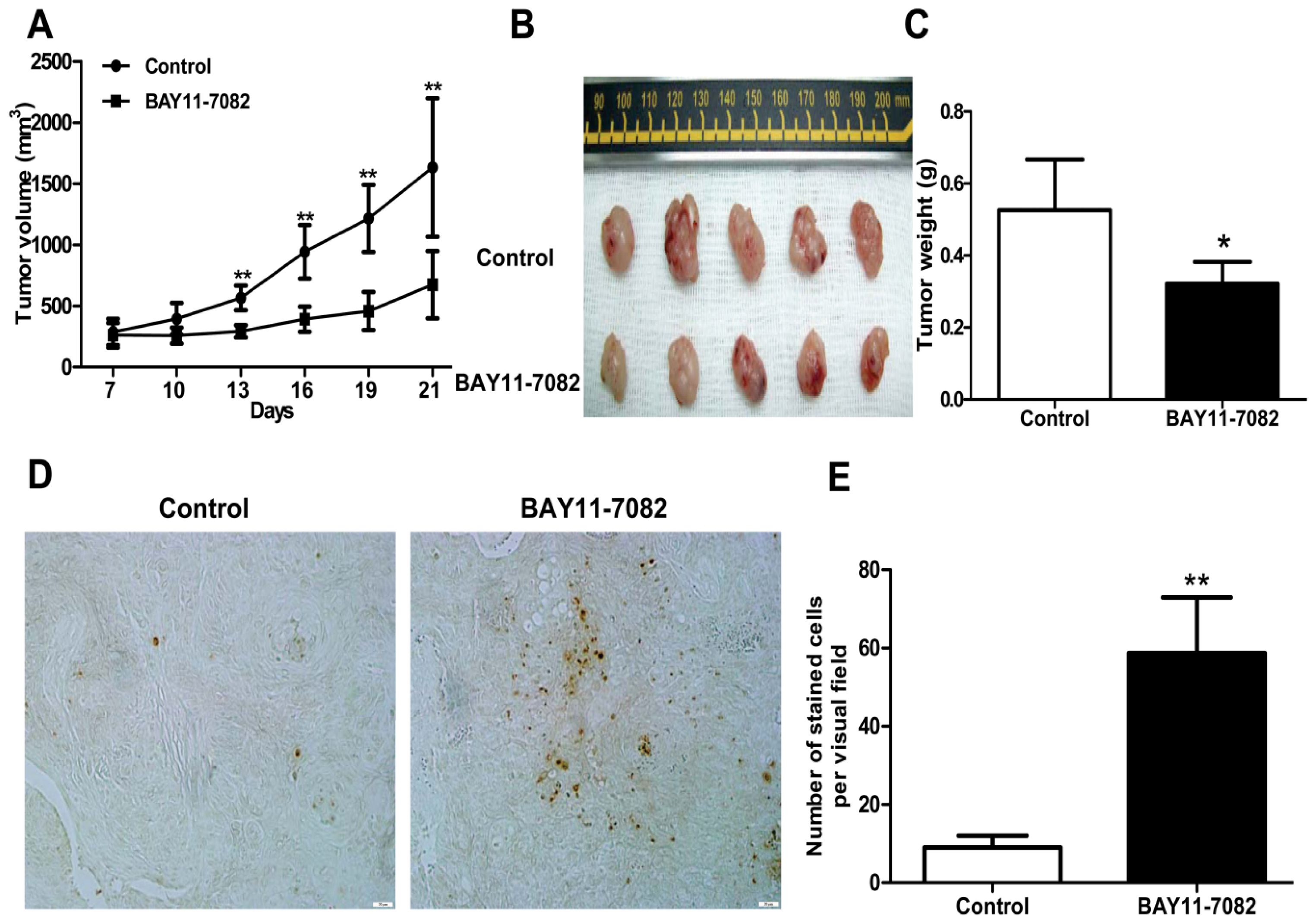 Ijms 13 15653f5 1024