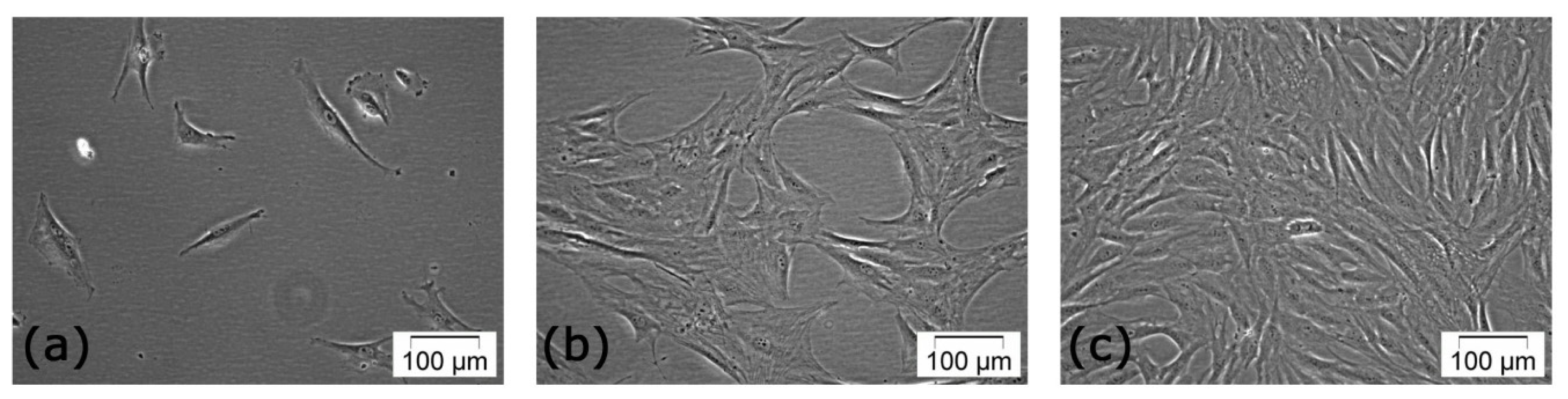 Ijms 13 15881f1 1024