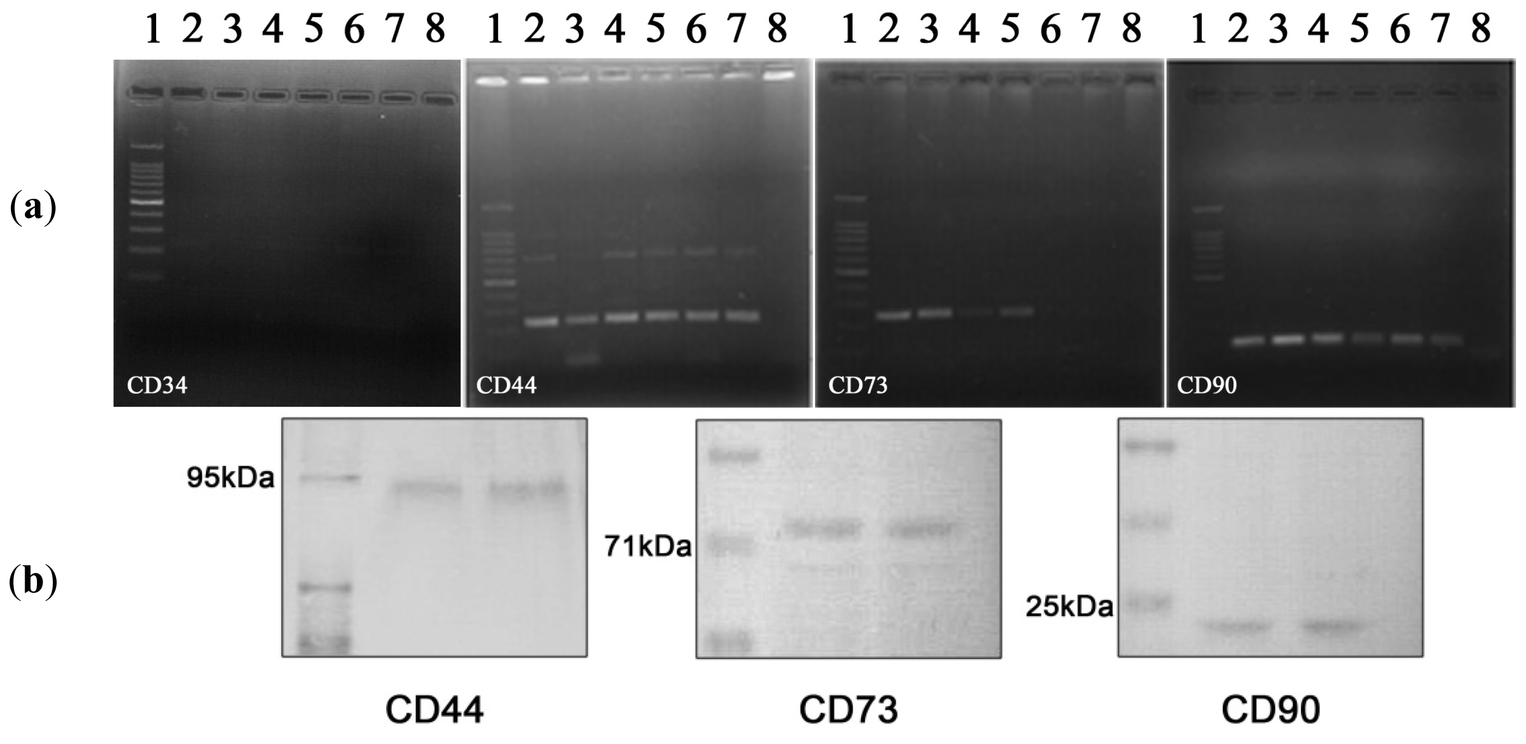 Ijms 13 15881f2a 1024