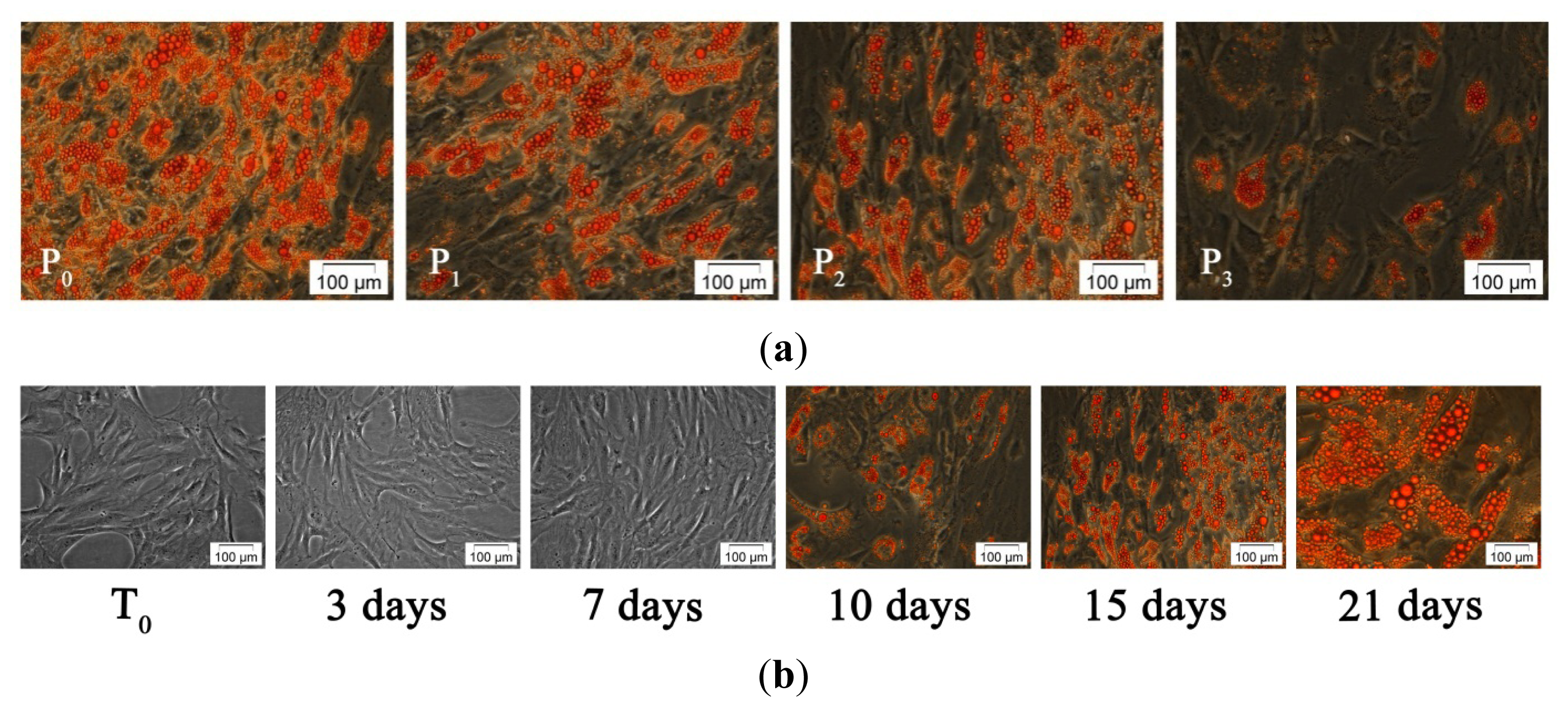 Ijms 13 15881f3 1024