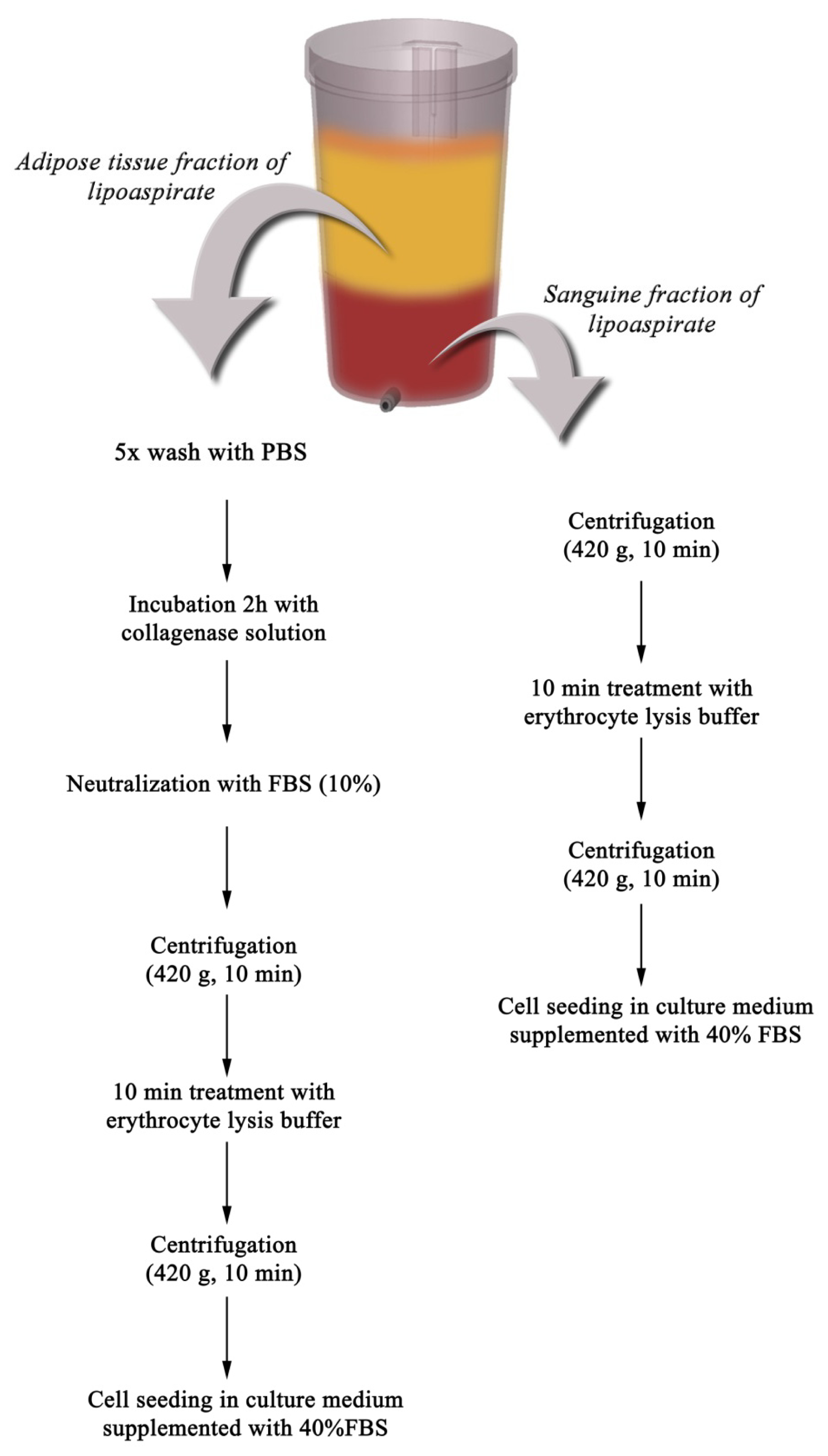Ijms 13 15881f6 1024