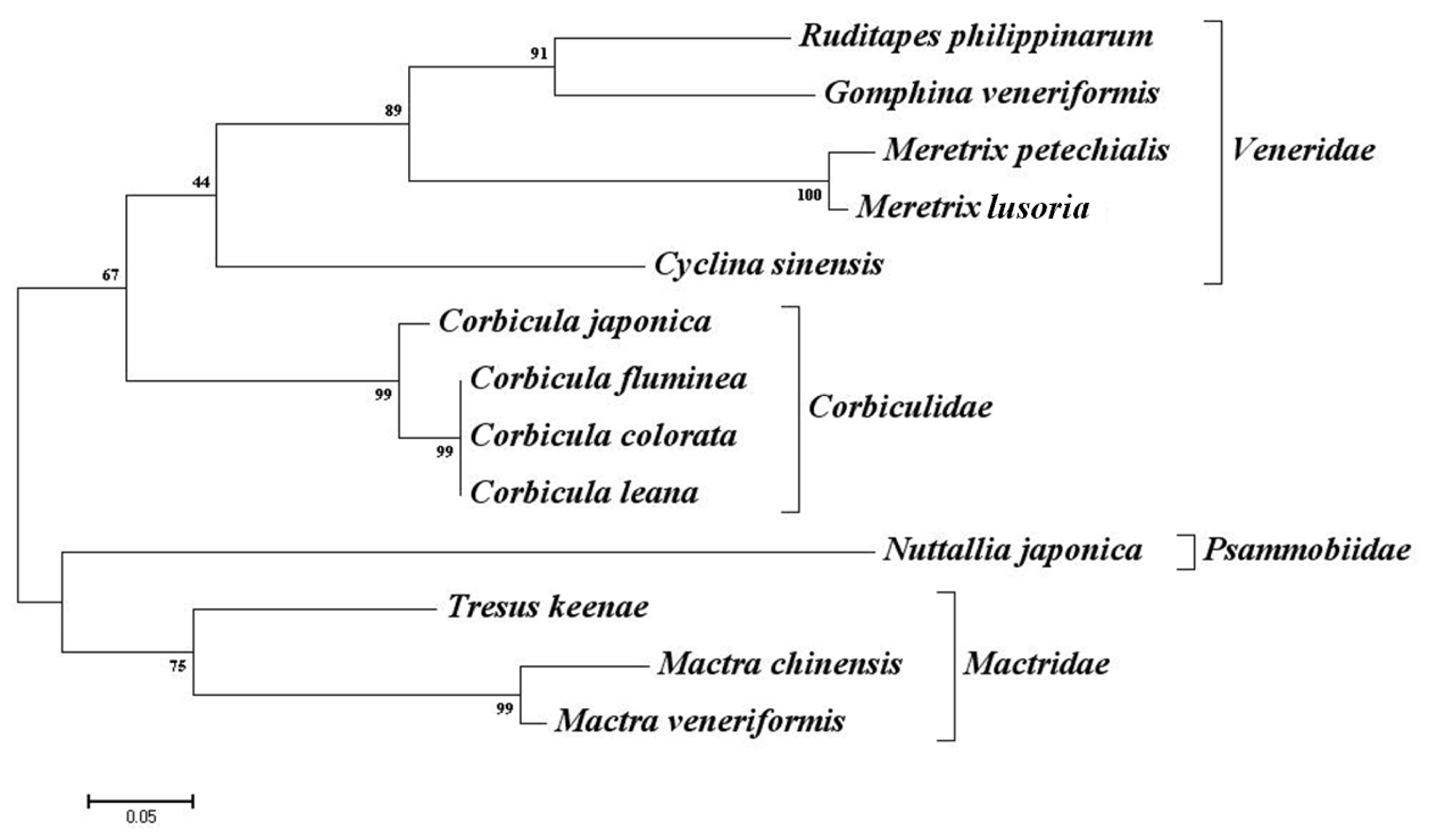 Ijms 13 15942f1 1024