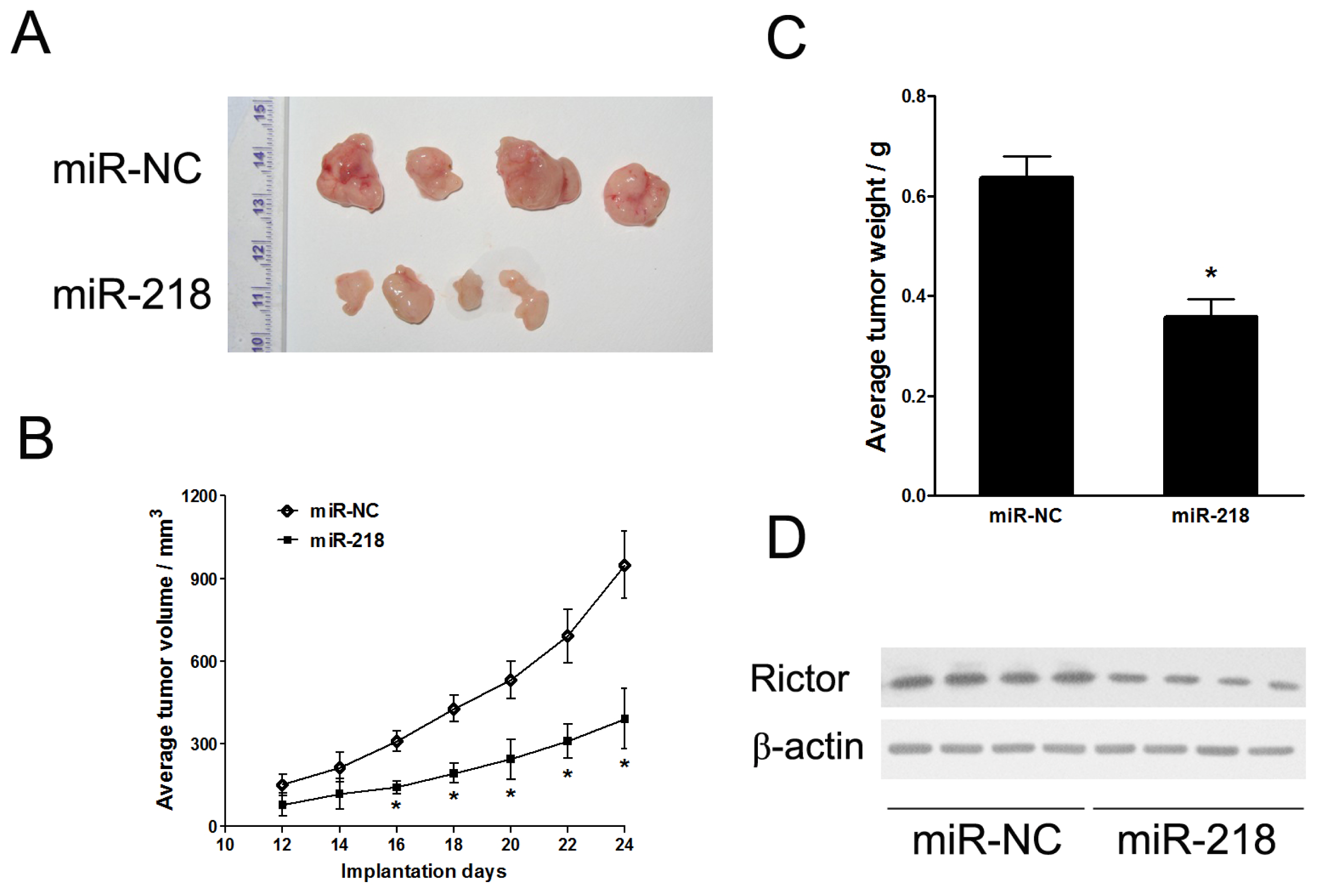 Ijms 13 16053f3 1024