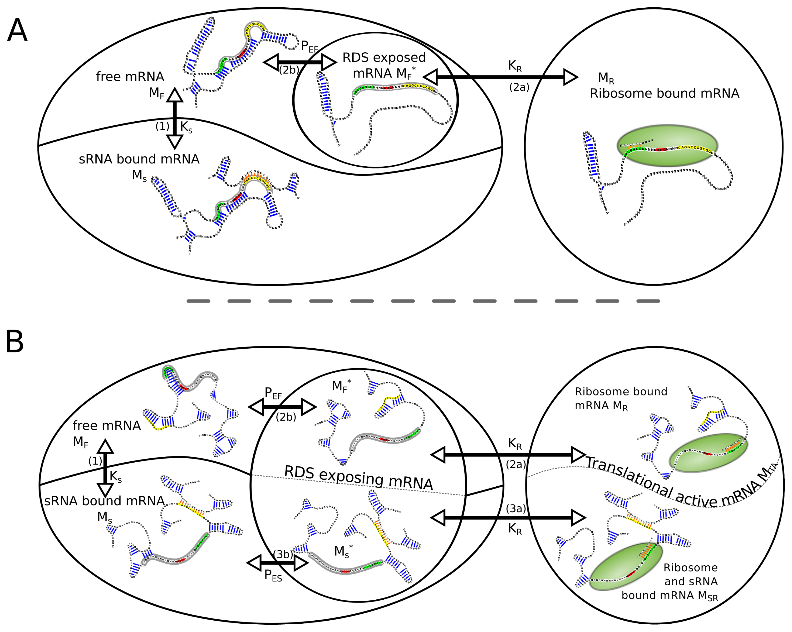 Ijms 13 16223f1 1024