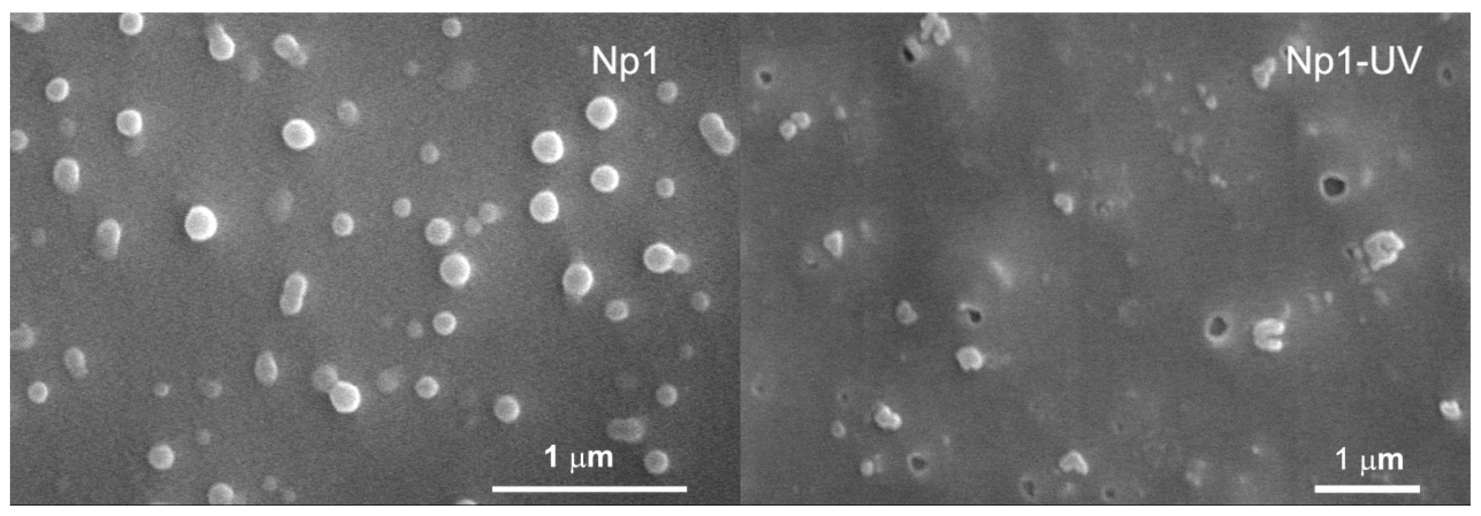 Ijms 13 16387f2 1024