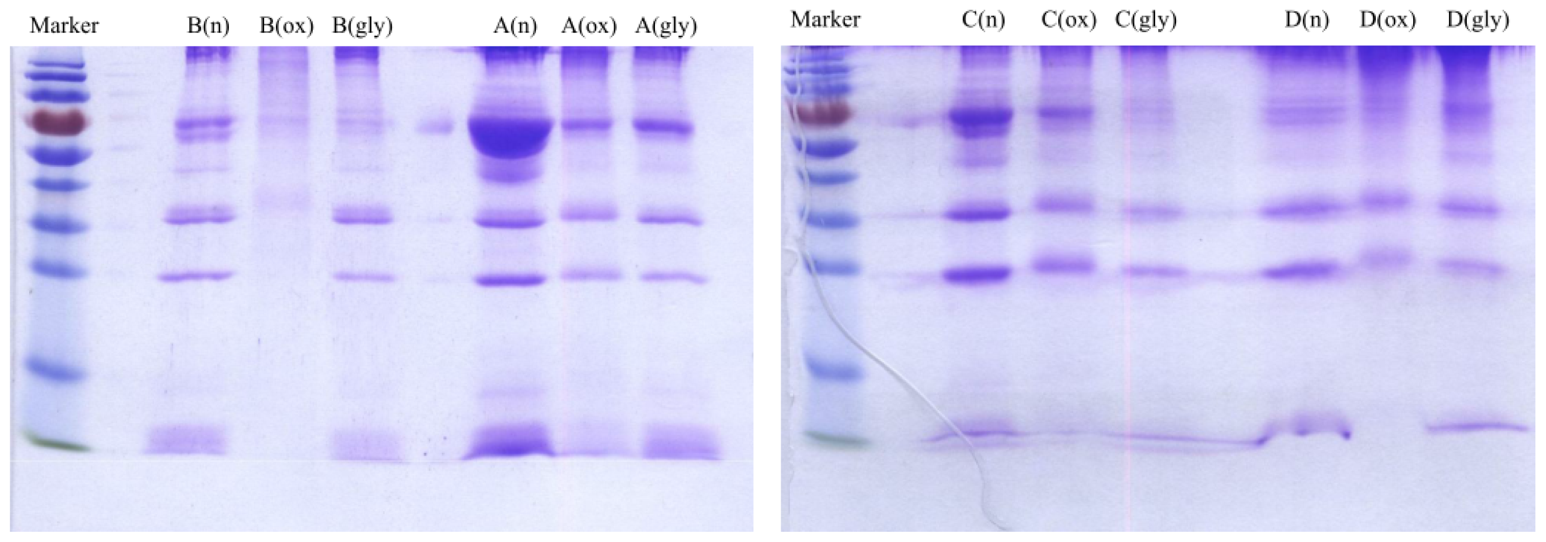 Ijms 13 16400f4 1024