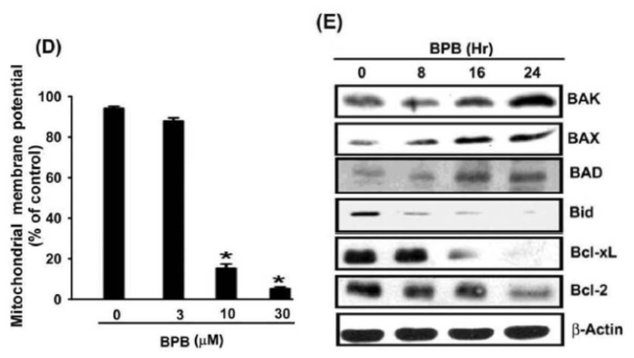 Ijms 13 16472f4b 1024