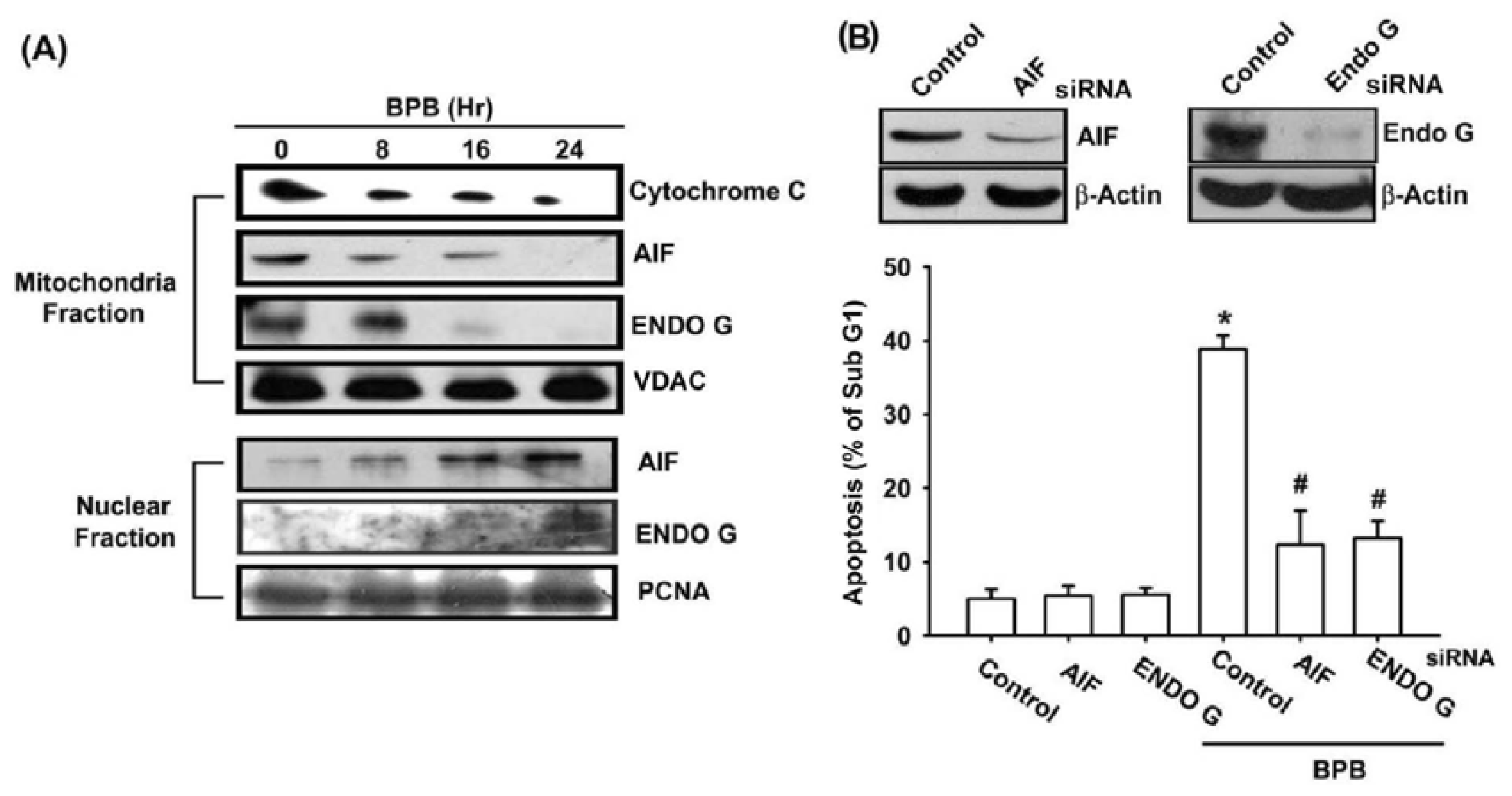 Ijms 13 16472f5 1024