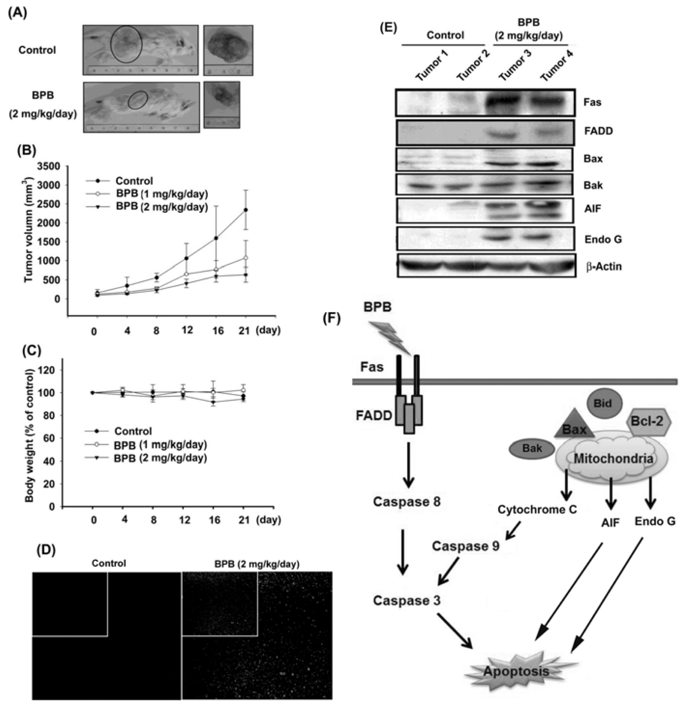 Ijms 13 16472f6 1024