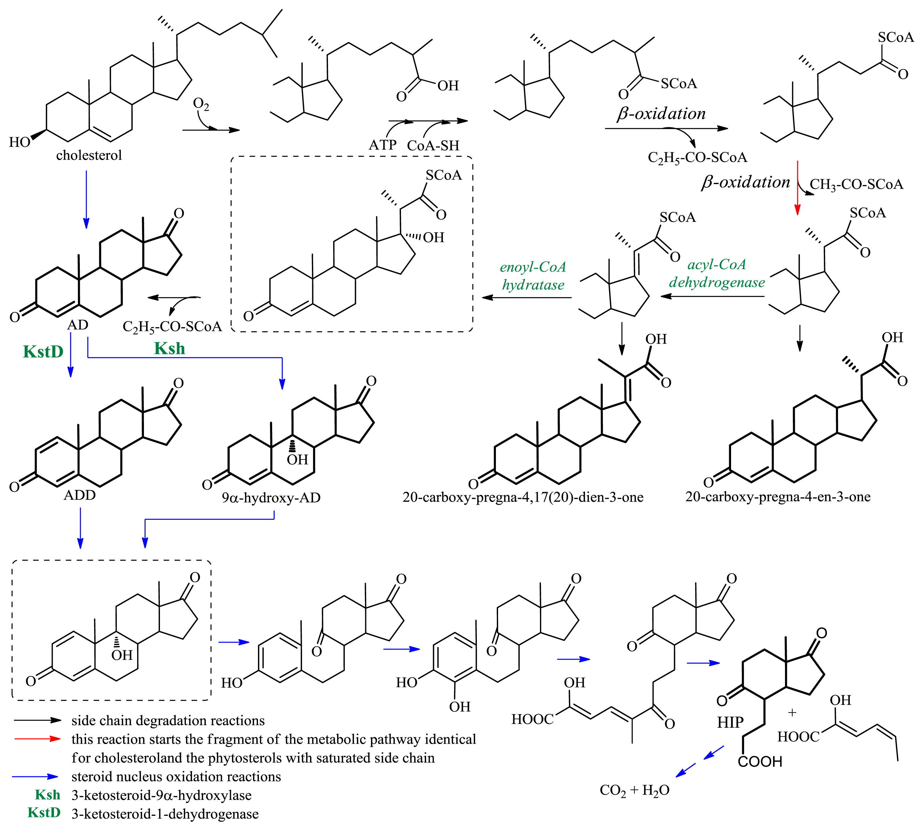 Ijms 13 16514f10 1024