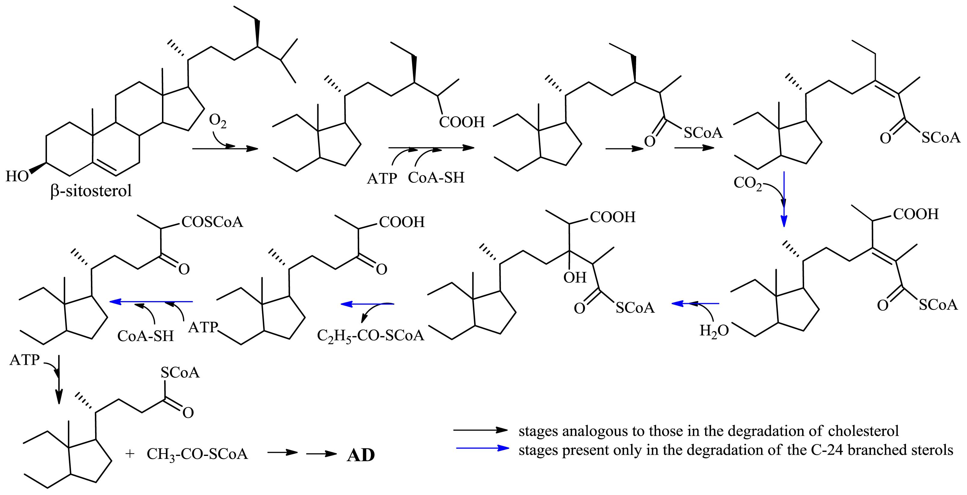 Ijms 13 16514f11 1024