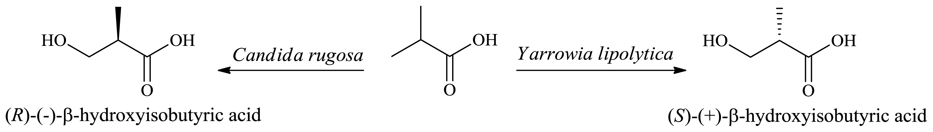 Ijms 13 16514f14 1024