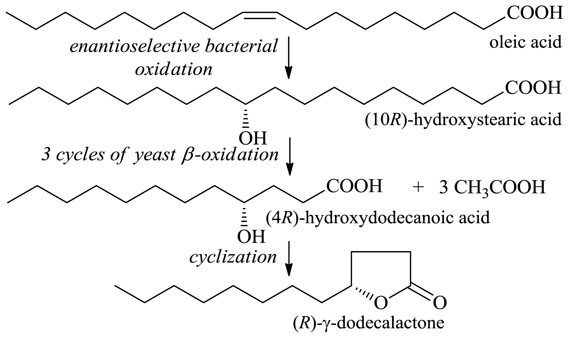 Ijms 13 16514f4 1024