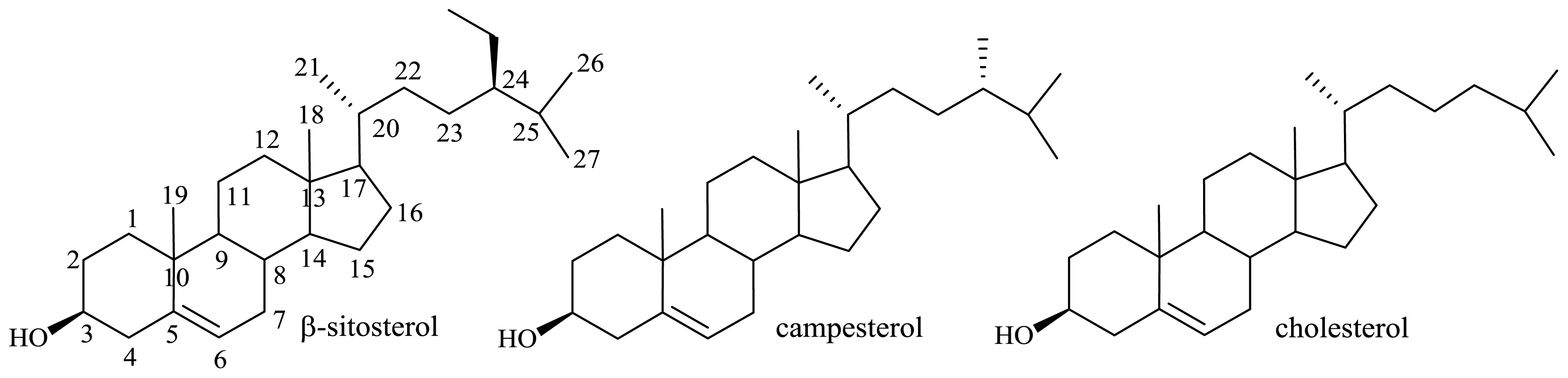 Ijms 13 16514f9 1024