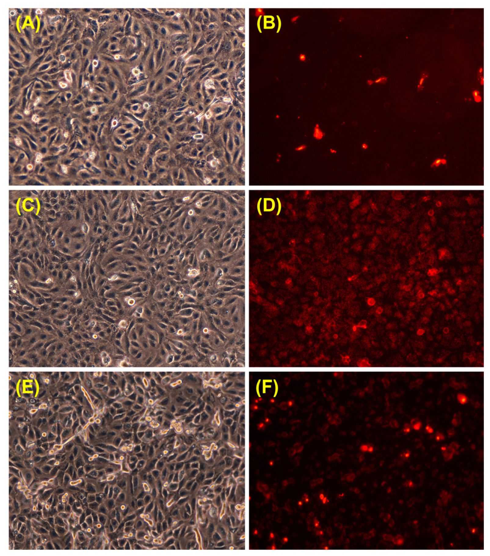 Ijms 13 16718f5 1024