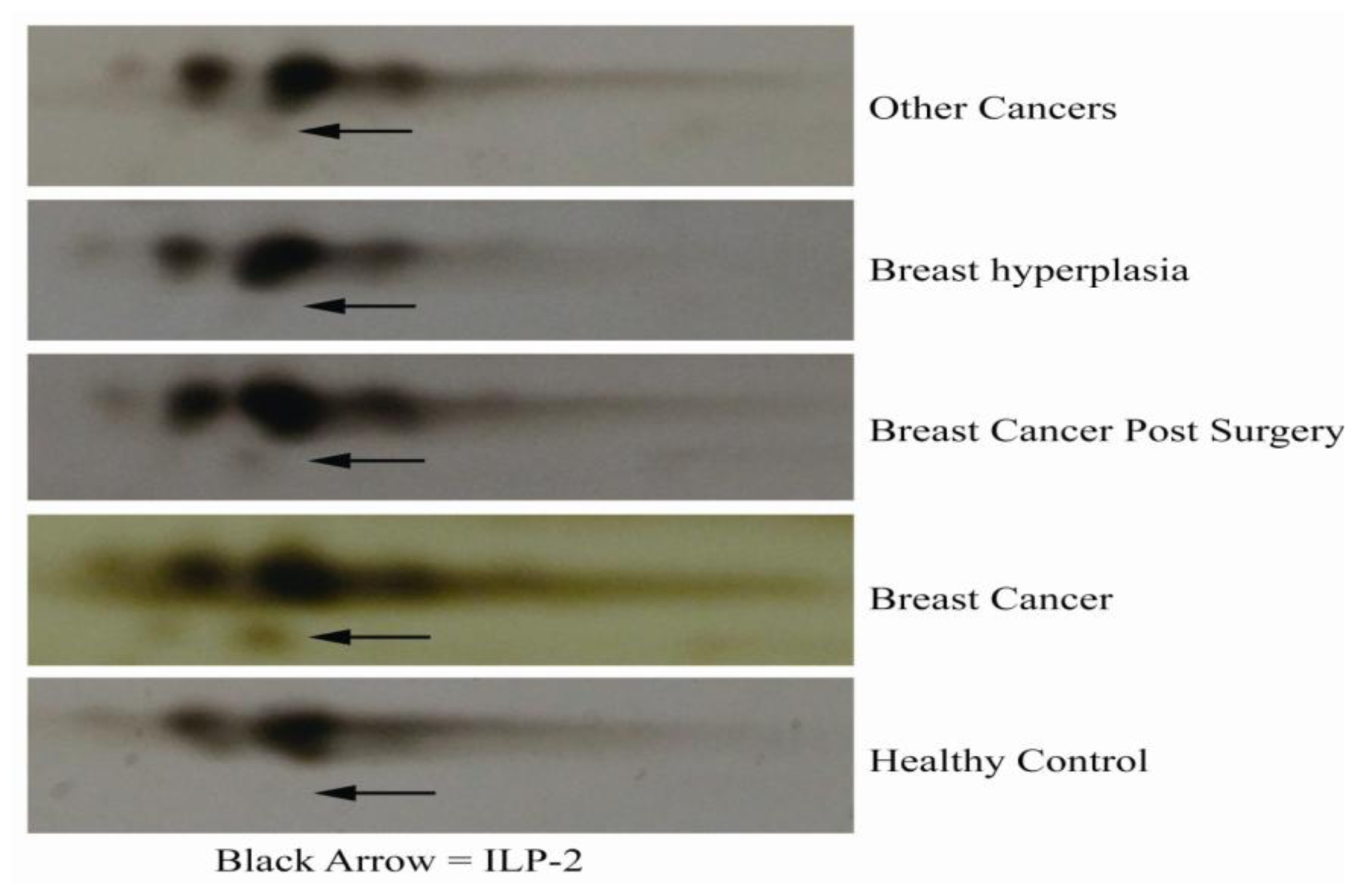 Ijms 13 16737f4 1024