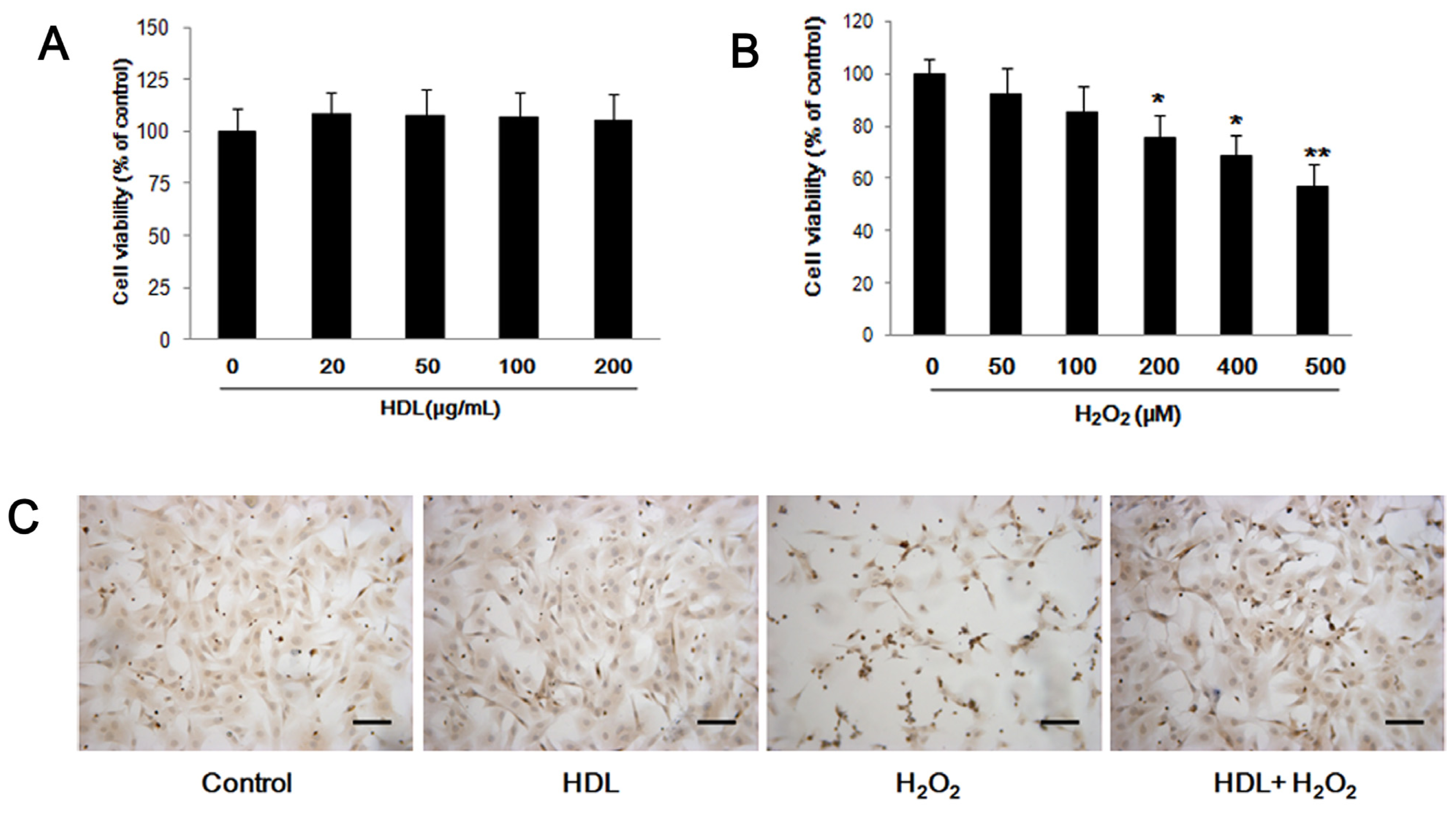 Ijms 13 17104f1a 1024