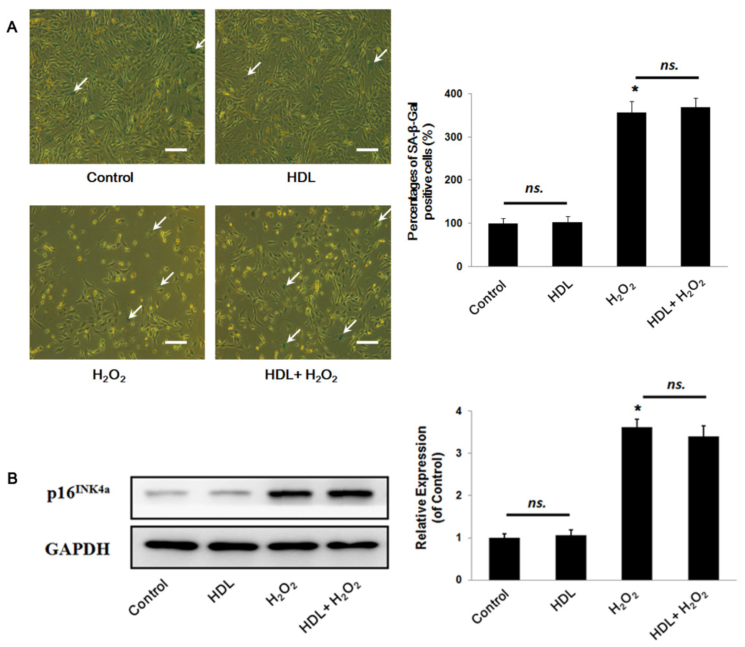 Ijms 13 17104f2 1024