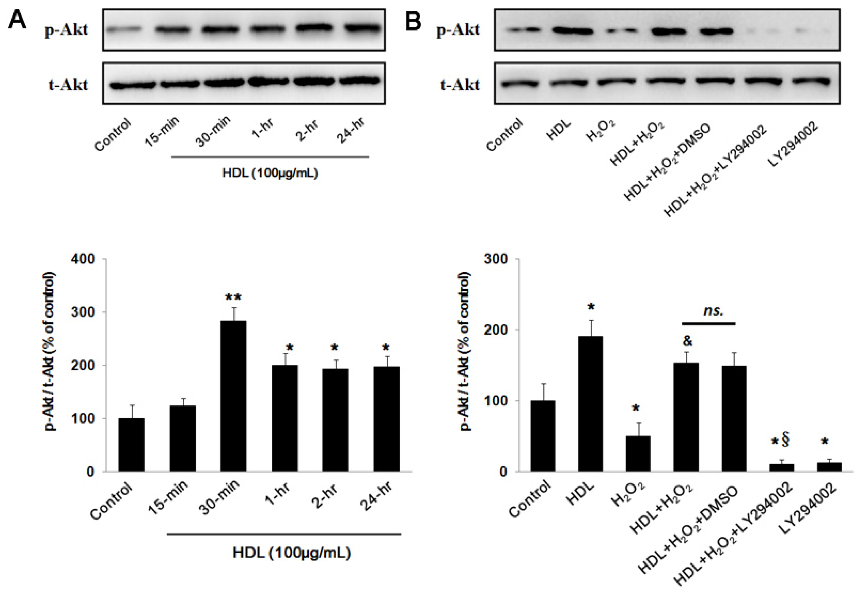 Ijms 13 17104f3a 1024