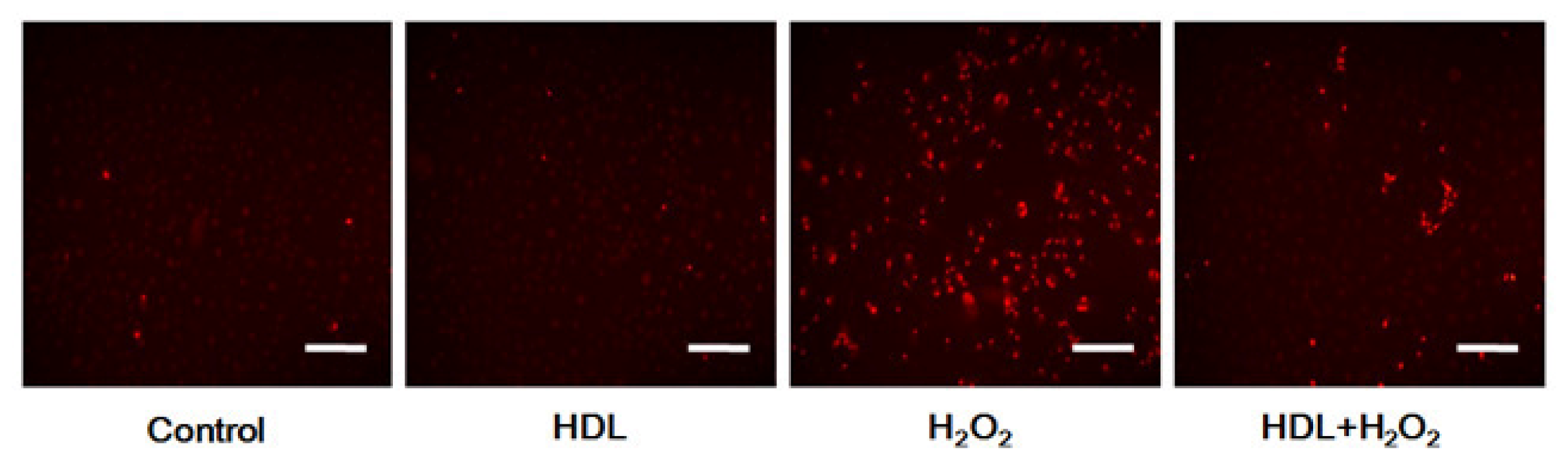 Ijms 13 17104f4a 1024