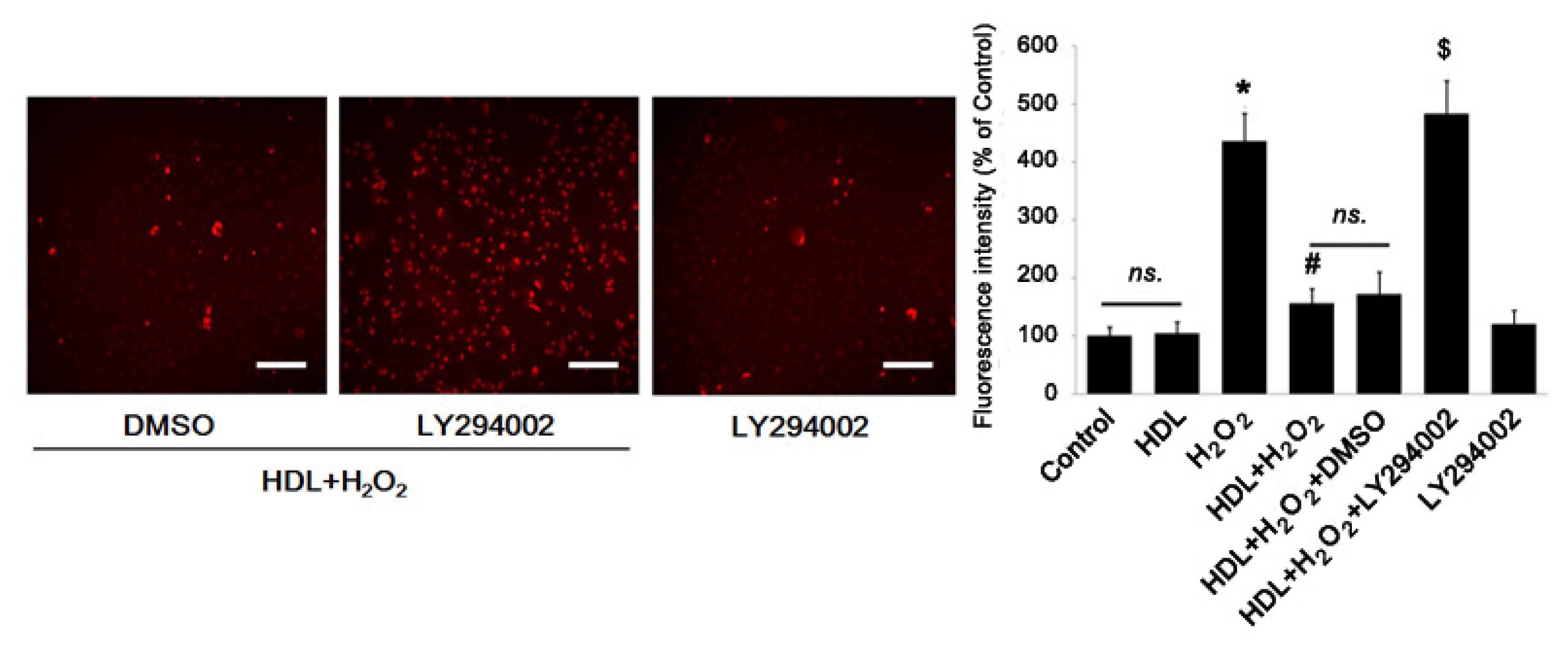 Ijms 13 17104f4b 1024