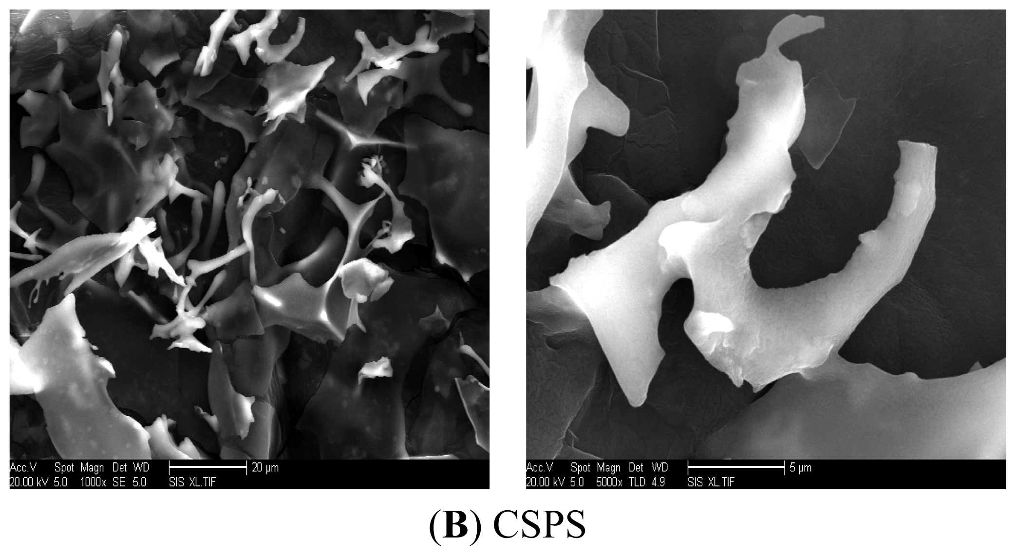 Ijms 13 17275f6b 1024