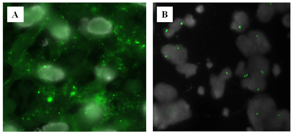 Ijms 14 00057f5 1024