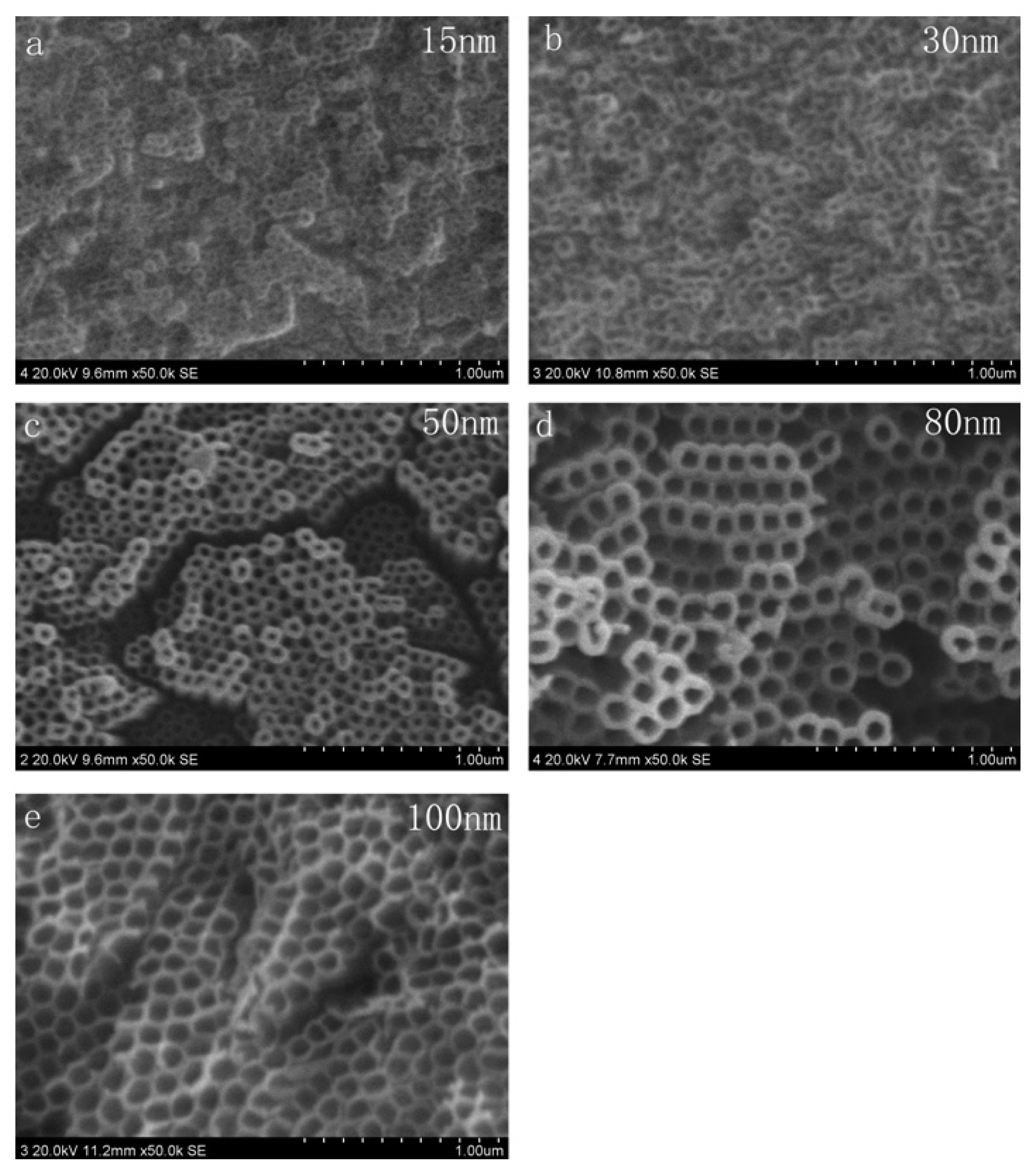 Ijms 14 00244f1 1024