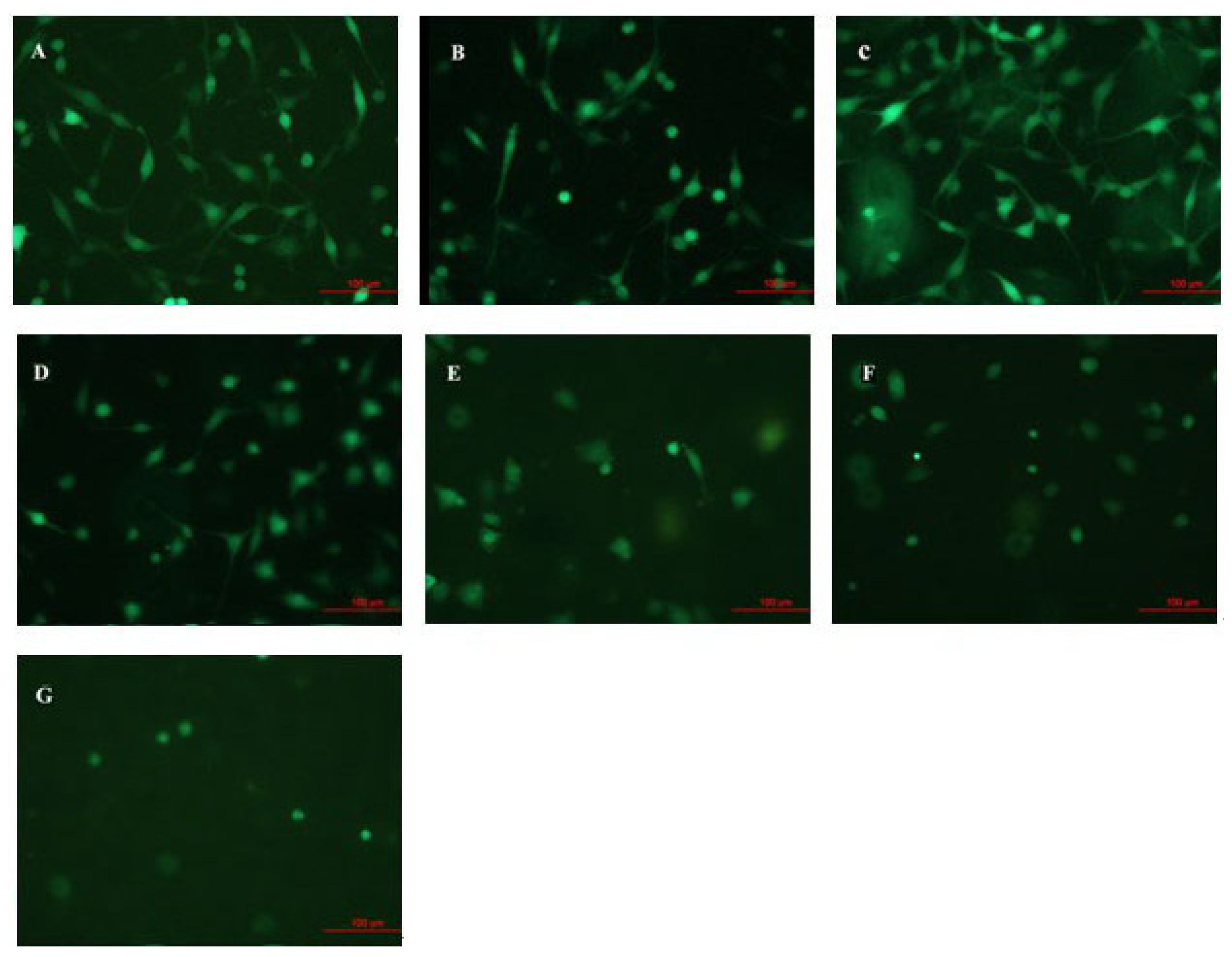 Ijms 14 00244f3 1024