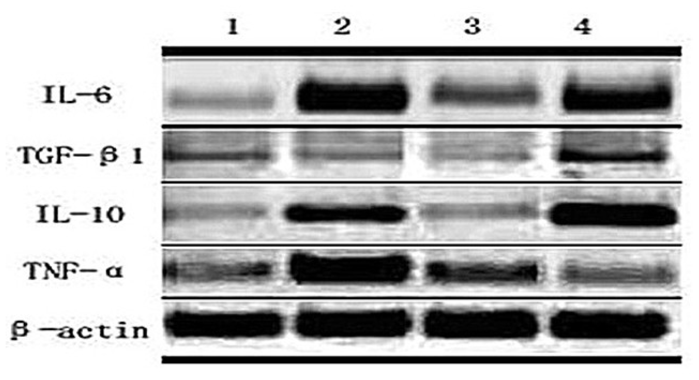 Ijms 14 00244f6 1024