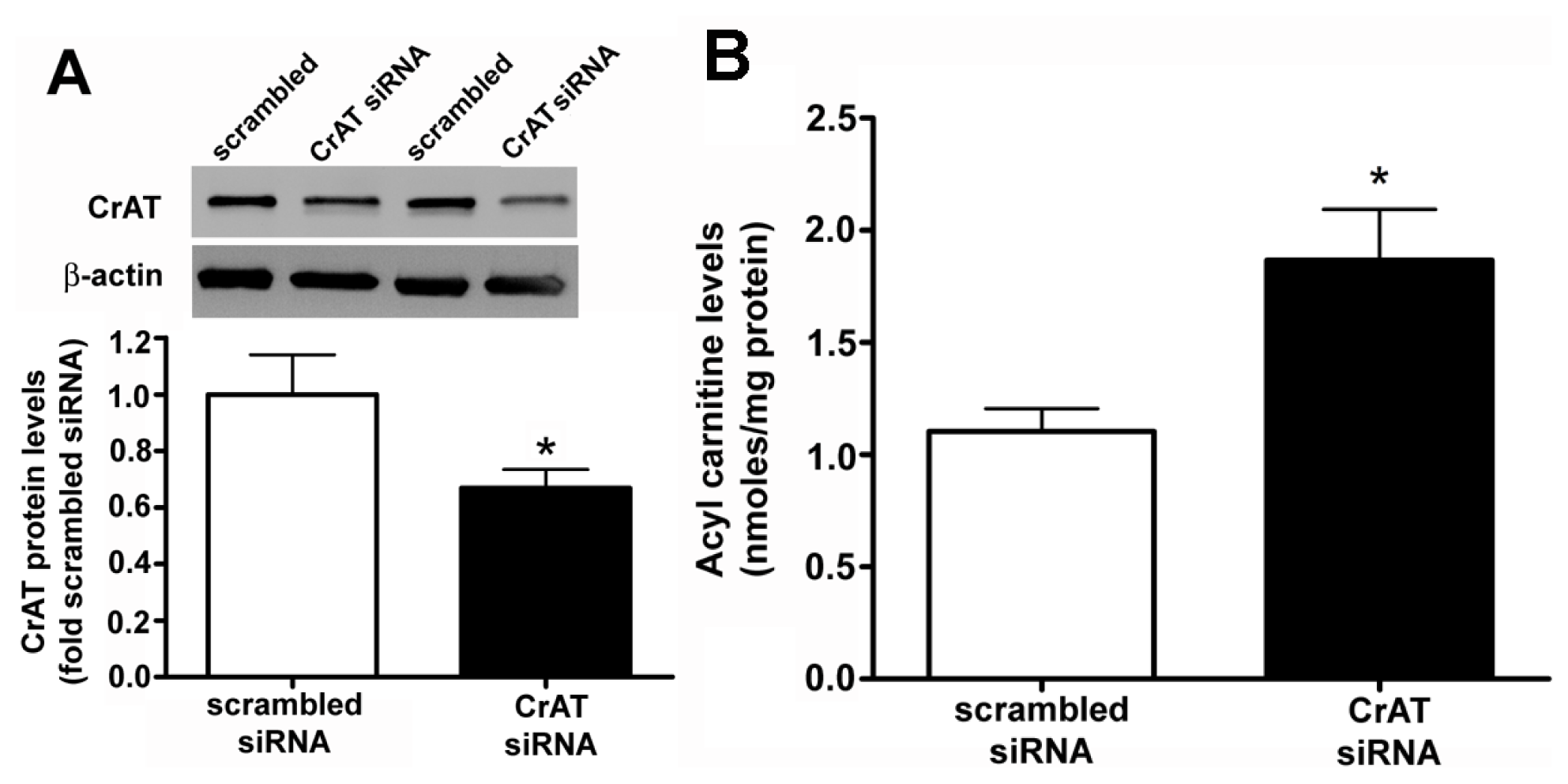 Ijms 14 00255f1 1024