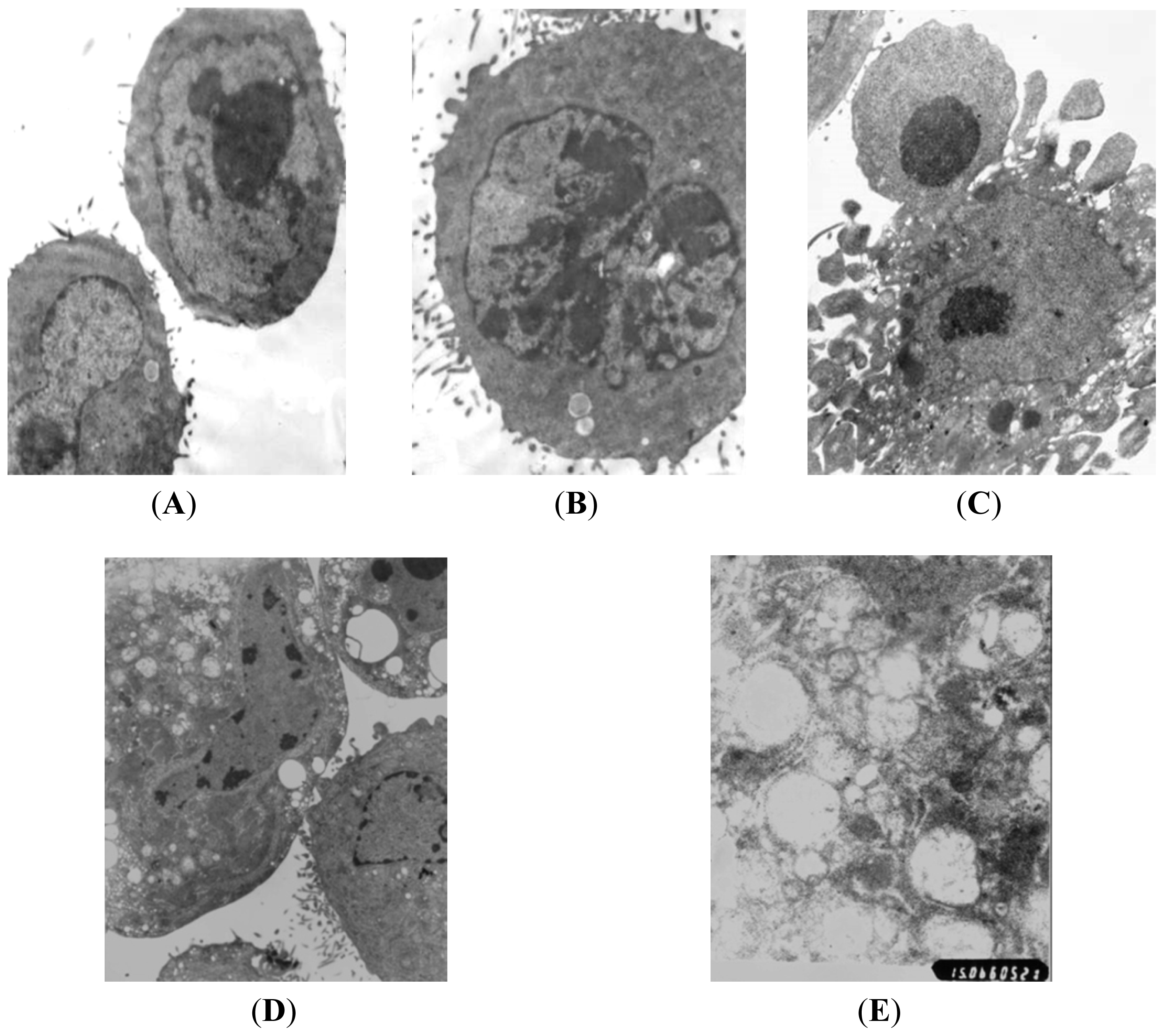 Ijms 14 00273f2