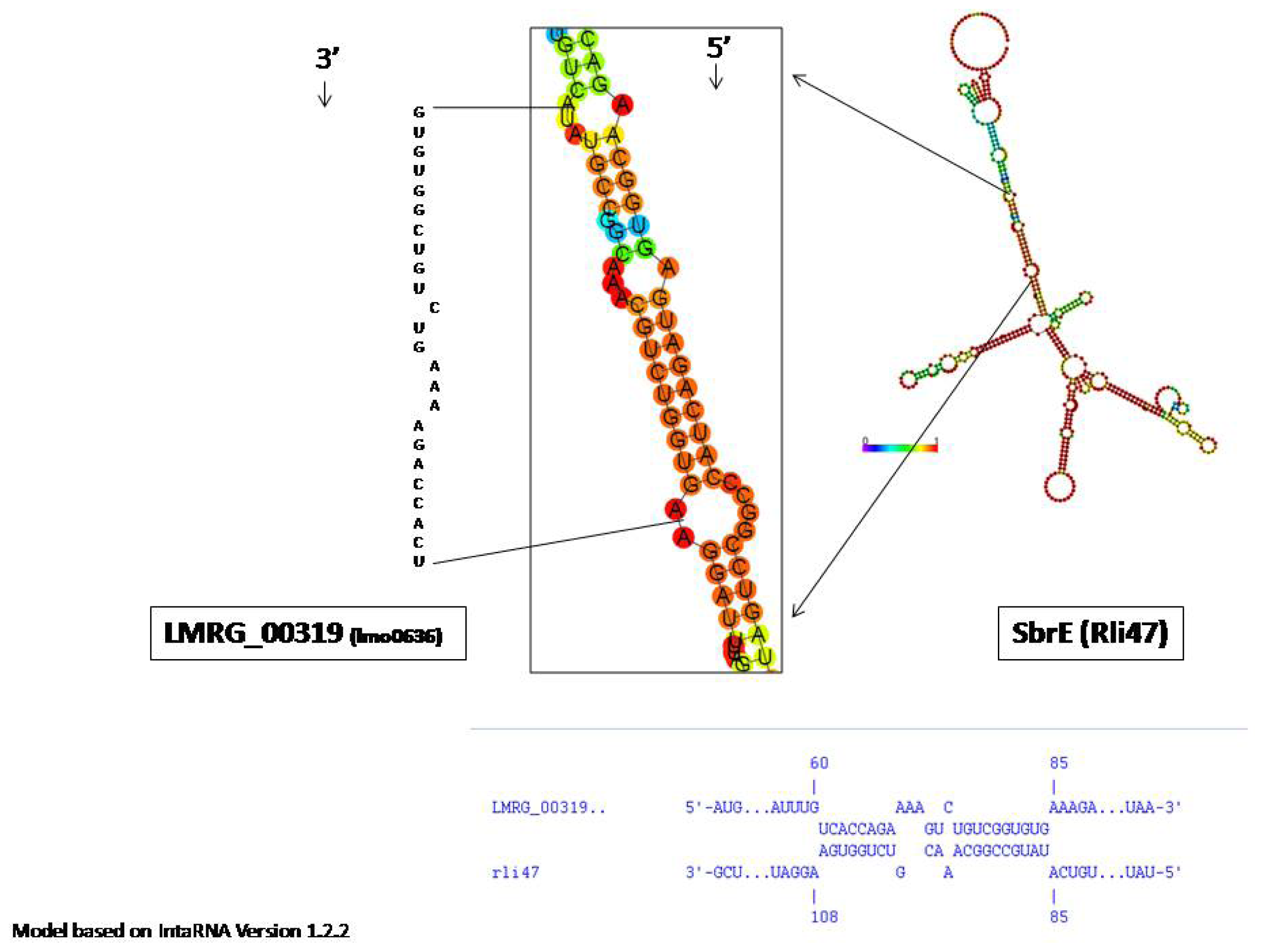 Ijms 14 00378f2 1024